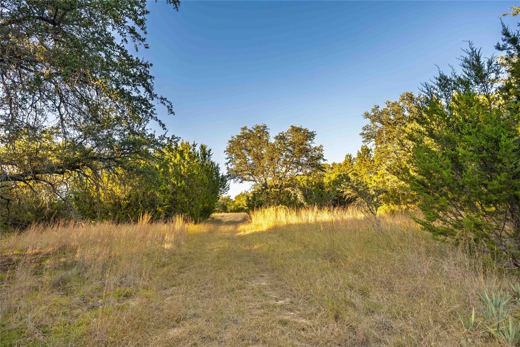Ranch For Sale in Comanche County , 3270 Fm-573, Comanche, Texas 76442, 0, 0, Garage spaces, 0 Sqft, built in 2007, mls#21105186, Real Estate Agent in Comanche, Homes For Sale in Comanche county, Homes For Sale in Comanche, Realtor in Comanche Texas, Real Estate Brokerage Independent Realty Texas, Luminita Cordes Realtor