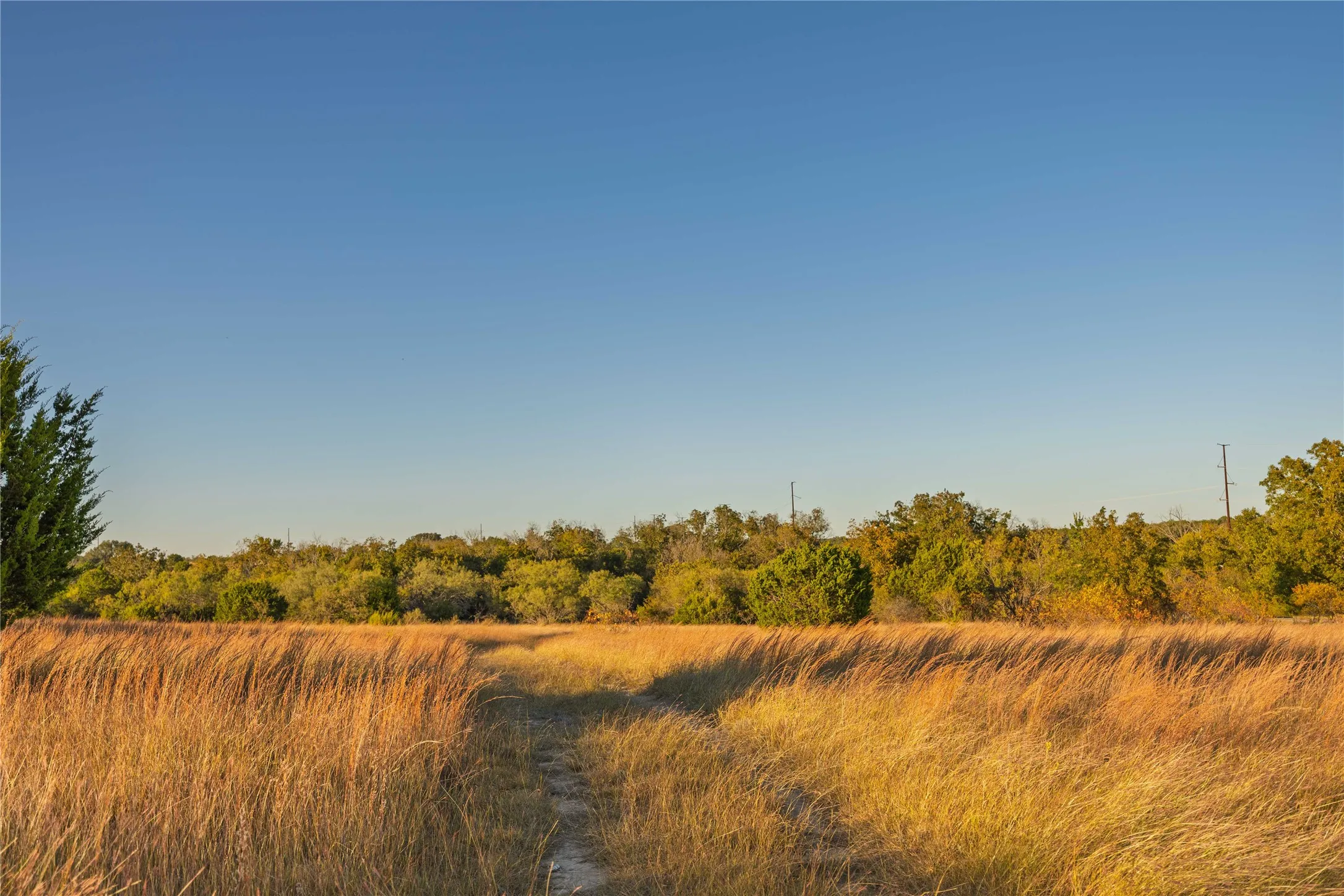 Ranch For Sale in Comanche County , 3270 Fm-573, Comanche, Texas 76442, 0, 0, Garage spaces, 0 Sqft, built in 2007, mls#21105186, Real Estate Agent in Comanche, Homes For Sale in Comanche county, Homes For Sale in Comanche, Realtor in Comanche Texas, Real Estate Brokerage Independent Realty Texas, Luminita Cordes Realtor