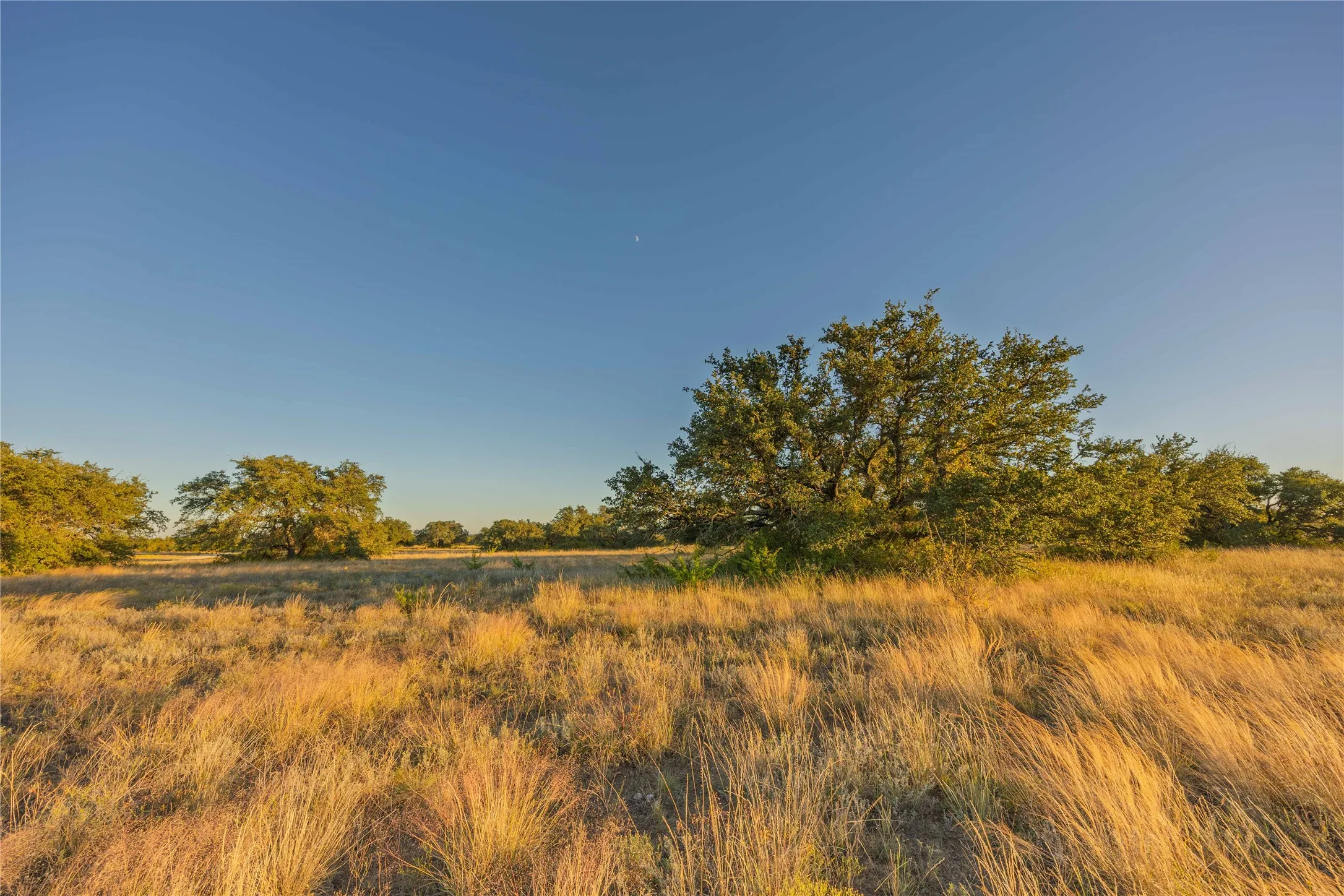 Ranch For Sale in Comanche County , 3270 Fm-573, Comanche, Texas 76442, 0, 0, Garage spaces, 0 Sqft, built in 2007, mls#21105186, Real Estate Agent in Comanche, Homes For Sale in Comanche county, Homes For Sale in Comanche, Realtor in Comanche Texas, Real Estate Brokerage Independent Realty Texas, Luminita Cordes Realtor