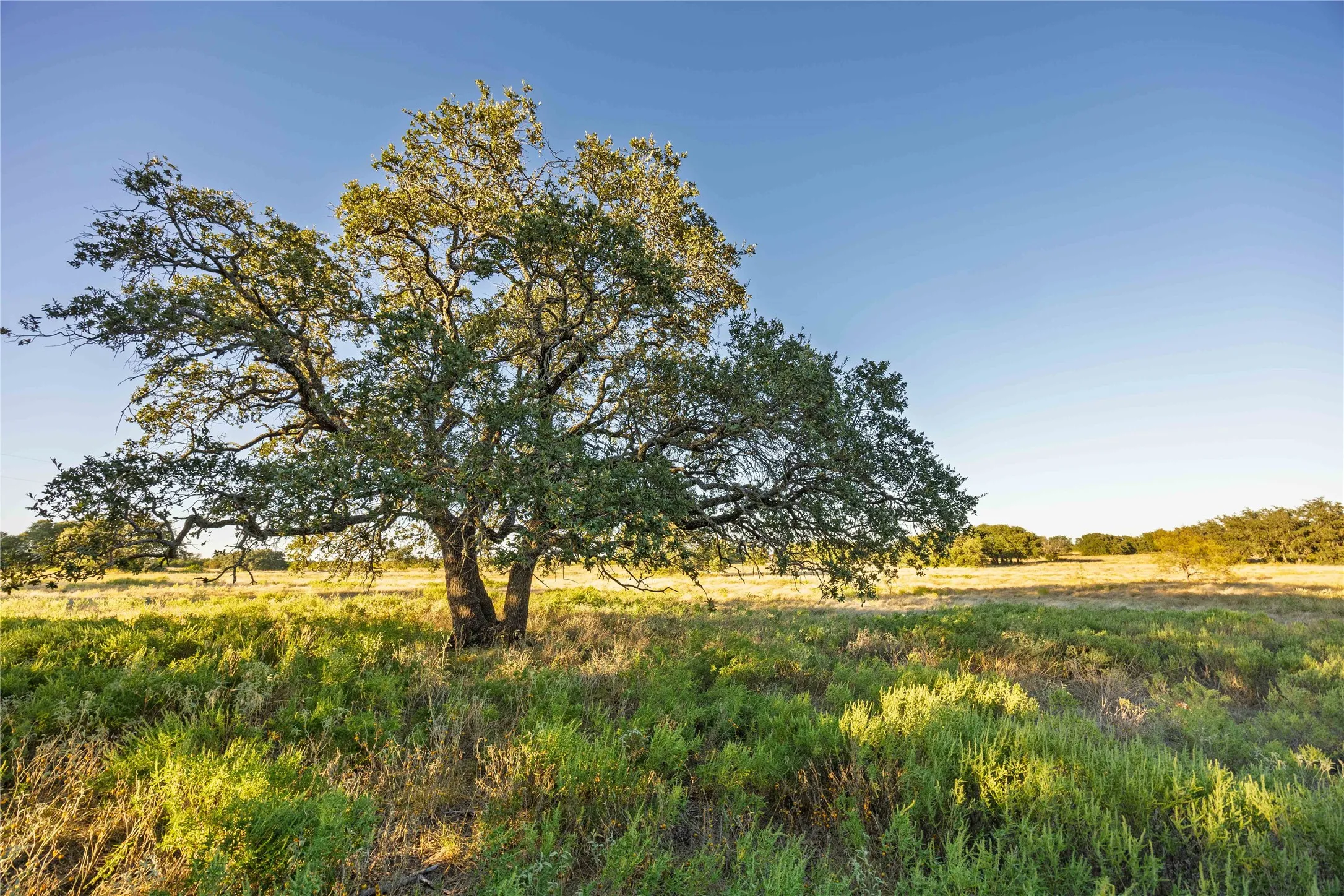 Ranch For Sale in Comanche County , 3270 Fm-573, Comanche, Texas 76442, 0, 0, Garage spaces, 0 Sqft, built in 2007, mls#21105186, Real Estate Agent in Comanche, Homes For Sale in Comanche county, Homes For Sale in Comanche, Realtor in Comanche Texas, Real Estate Brokerage Independent Realty Texas, Luminita Cordes Realtor