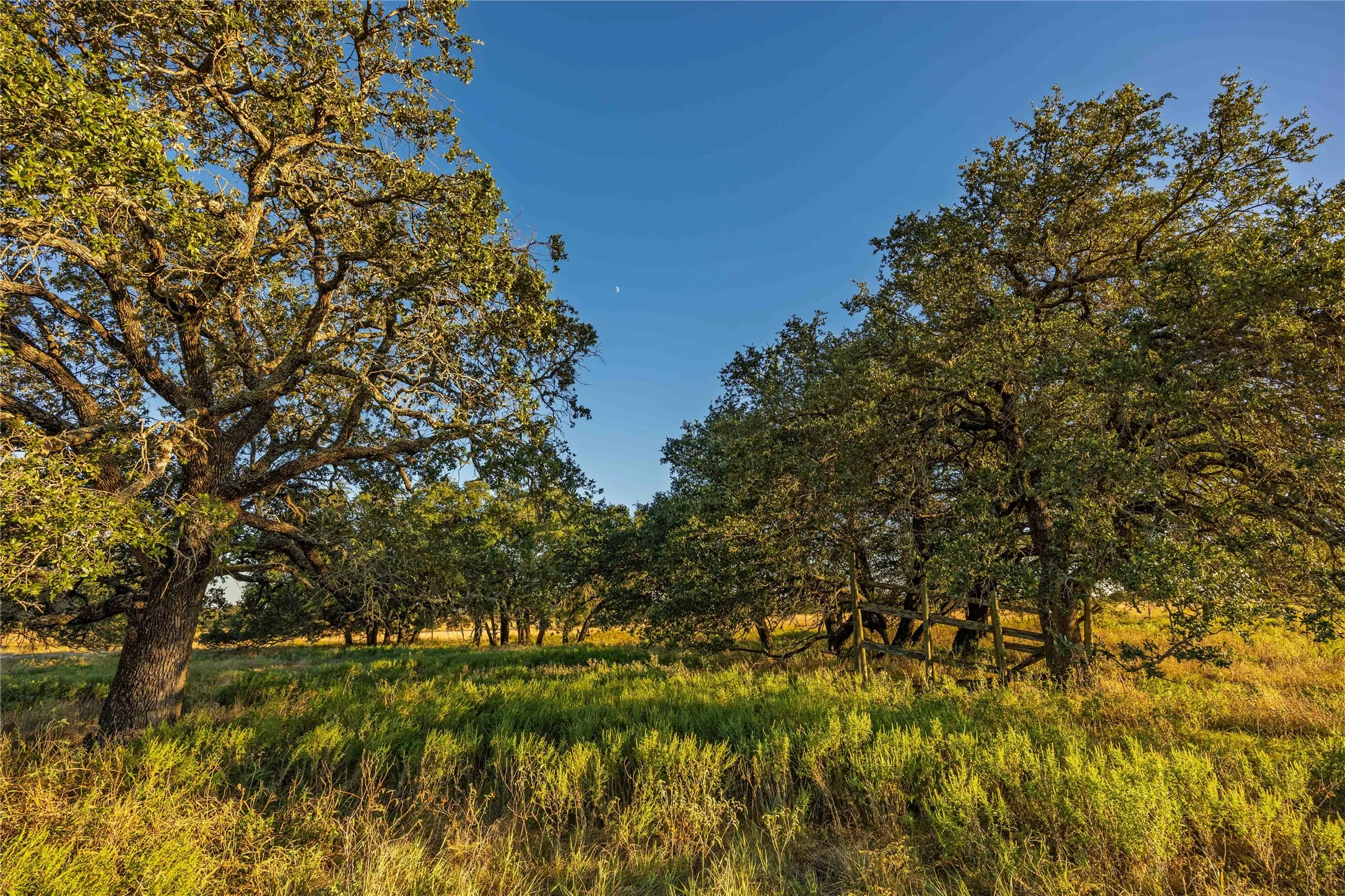 Ranch For Sale in Comanche County , 3270 Fm-573, Comanche, Texas 76442, 0, 0, Garage spaces, 0 Sqft, built in 2007, mls#21105186, Real Estate Agent in Comanche, Homes For Sale in Comanche county, Homes For Sale in Comanche, Realtor in Comanche Texas, Real Estate Brokerage Independent Realty Texas, Luminita Cordes Realtor