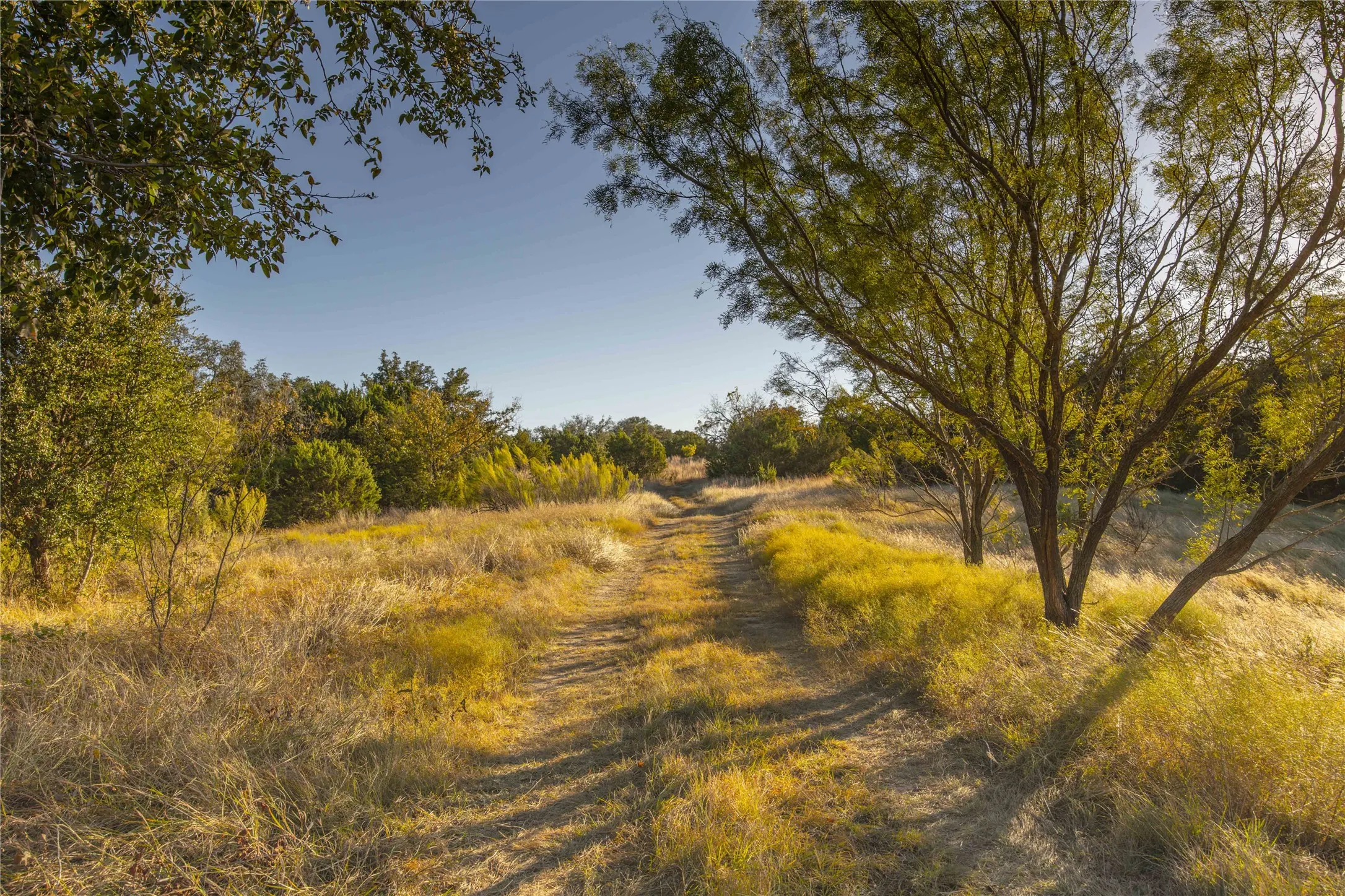 Ranch For Sale in Comanche County , 3270 Fm-573, Comanche, Texas 76442, 0, 0, Garage spaces, 0 Sqft, built in 2007, mls#21105186, Real Estate Agent in Comanche, Homes For Sale in Comanche county, Homes For Sale in Comanche, Realtor in Comanche Texas, Real Estate Brokerage Independent Realty Texas, Luminita Cordes Realtor