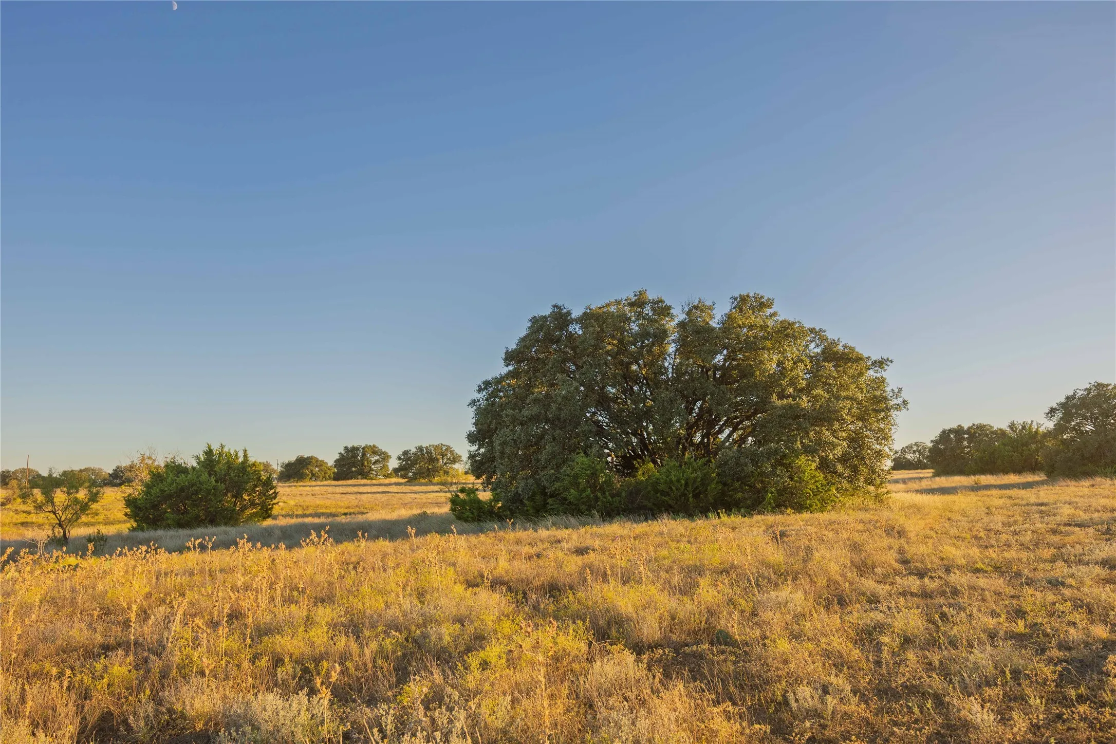 Ranch For Sale in Comanche County , 3270 Fm-573, Comanche, Texas 76442, 0, 0, Garage spaces, 0 Sqft, built in 2007, mls#21105186, Real Estate Agent in Comanche, Homes For Sale in Comanche county, Homes For Sale in Comanche, Realtor in Comanche Texas, Real Estate Brokerage Independent Realty Texas, Luminita Cordes Realtor