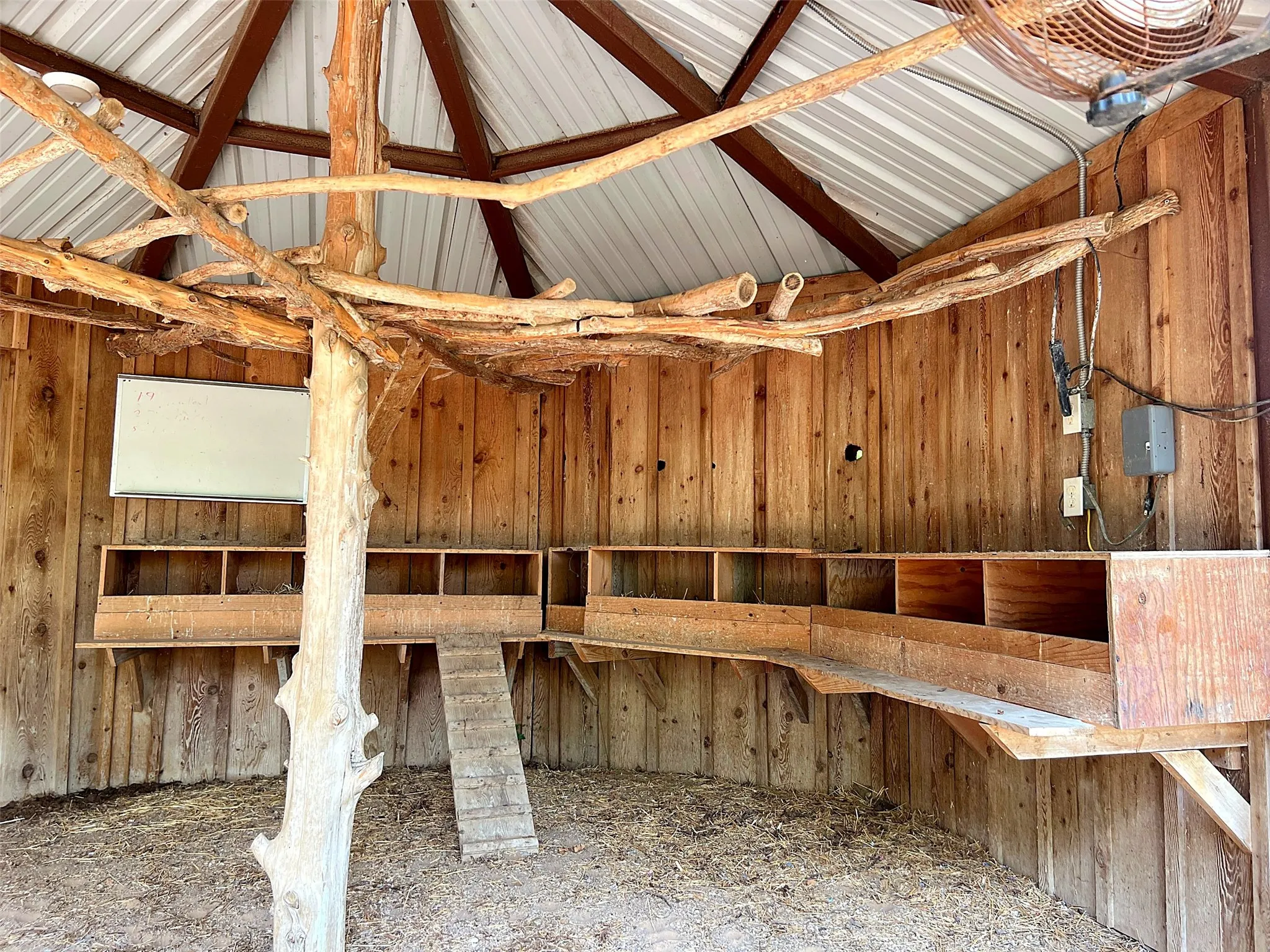Full chicken coop with electric and water utilities