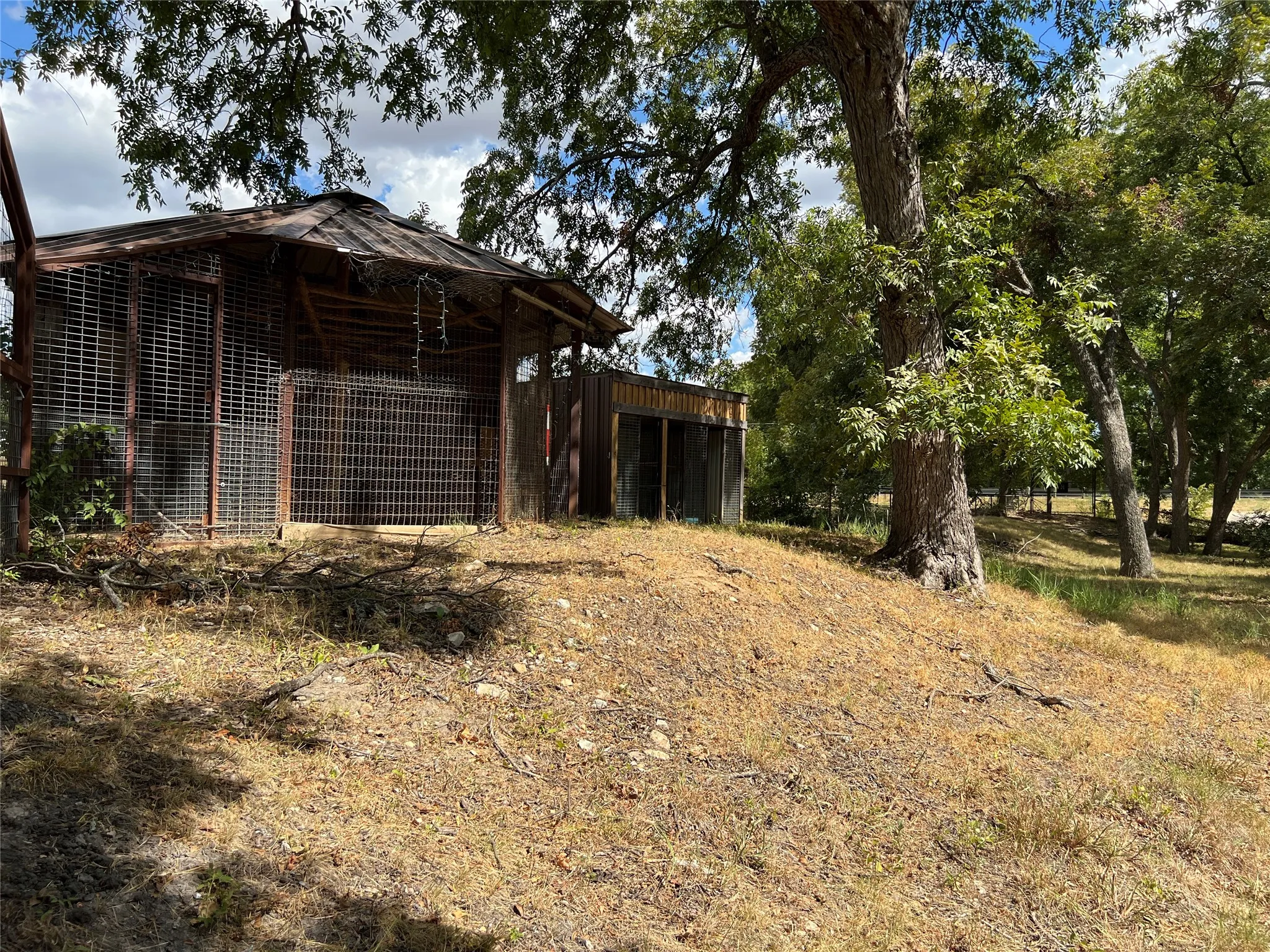 Spacious chicken coop