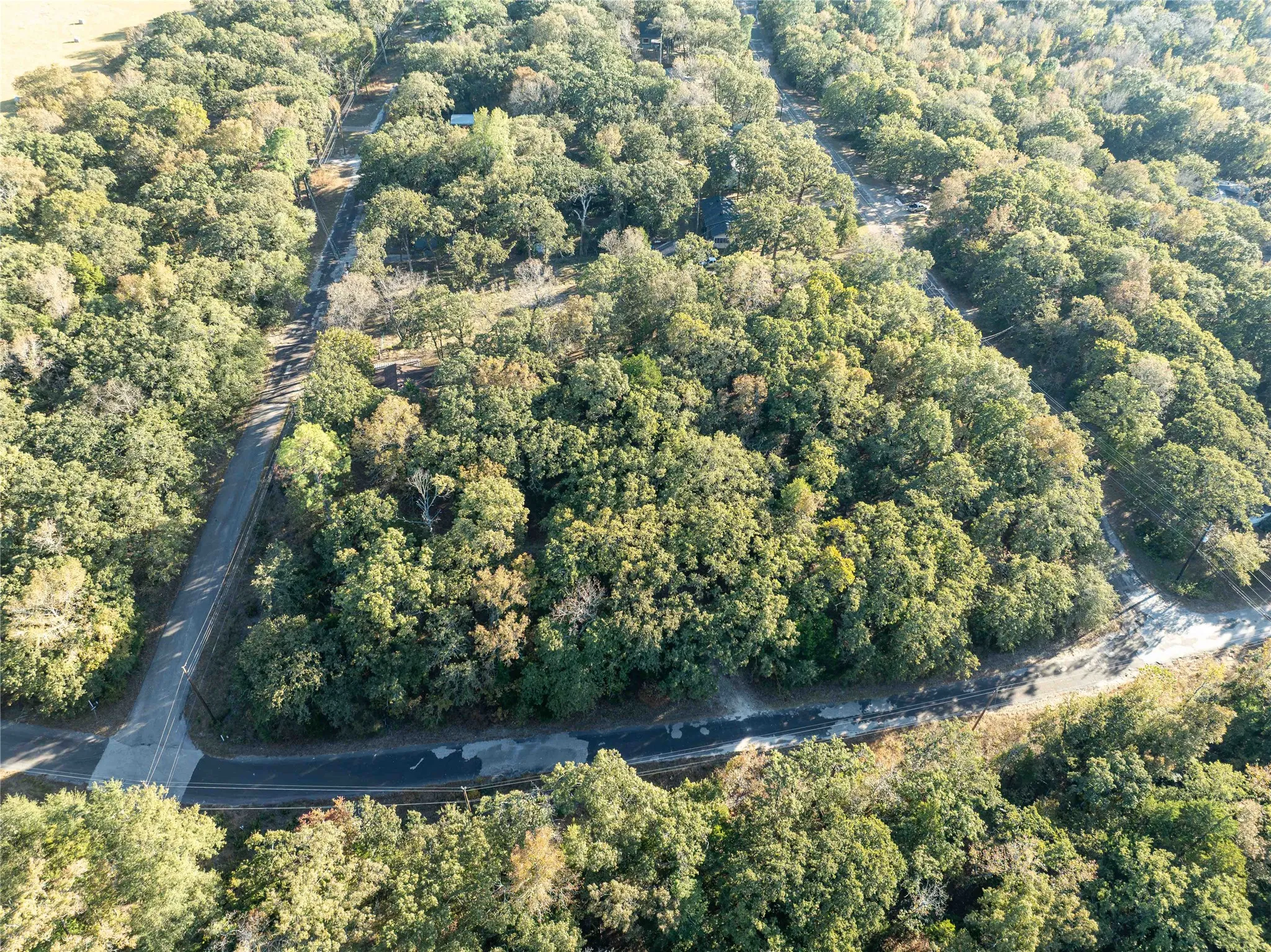 Aerial view of property's location featuring a heavily wooded area only two blocks from the lake
