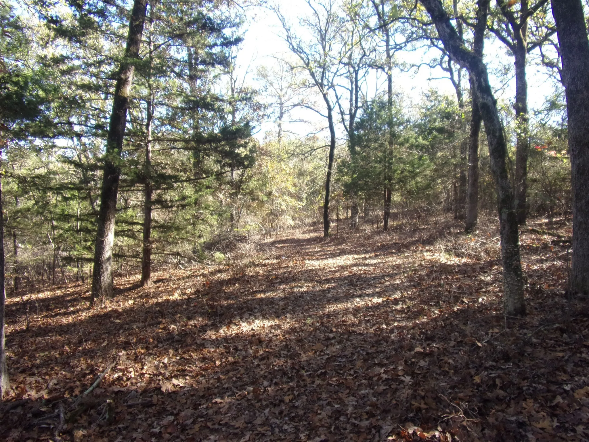 Nice lot to build your home