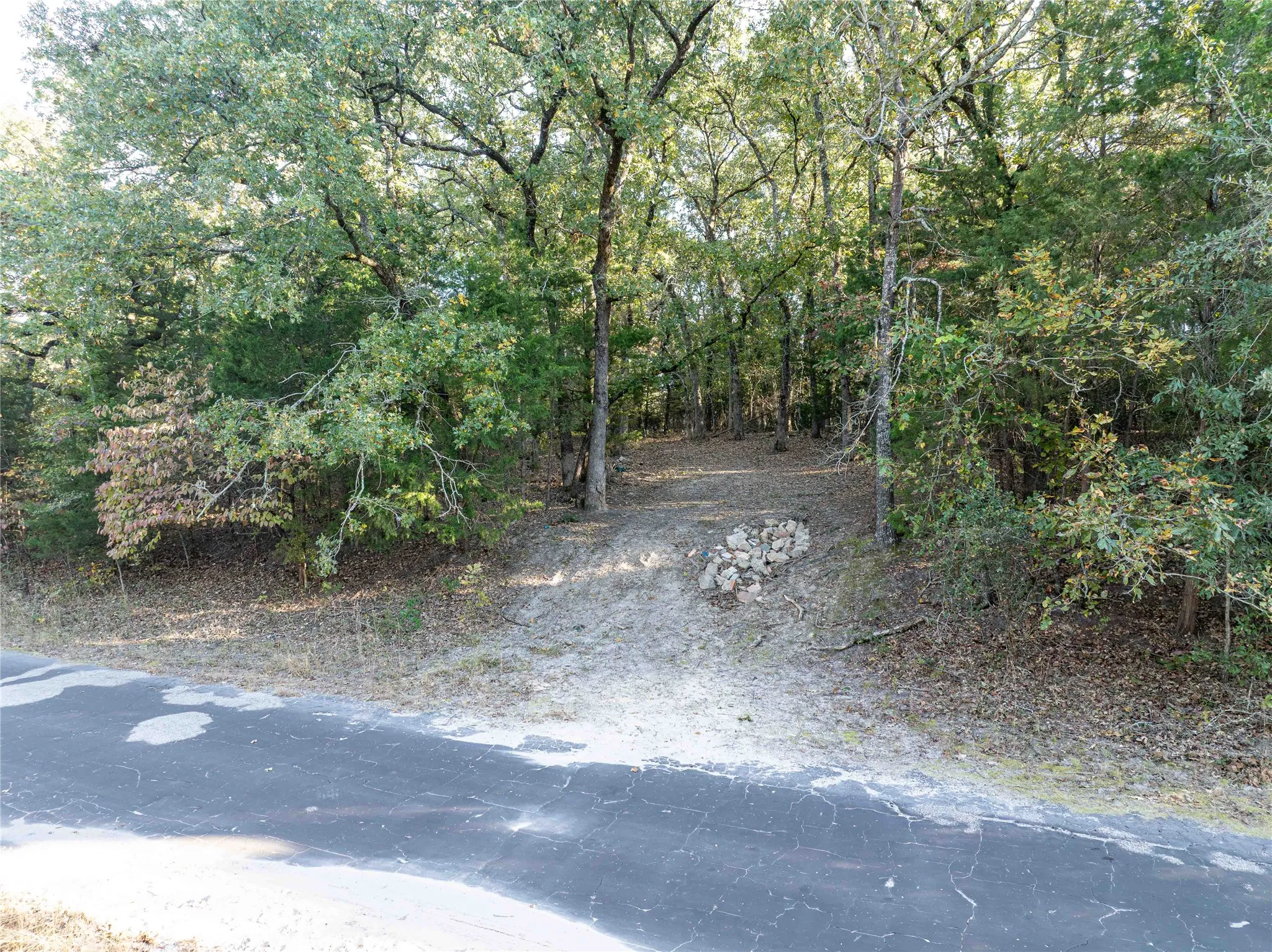 View from the road of the wooded lots with driveway entrance