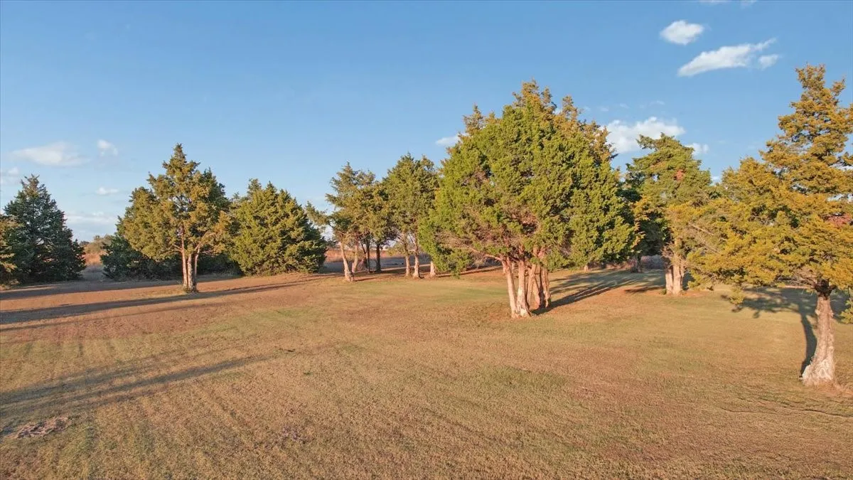 View of green lawn