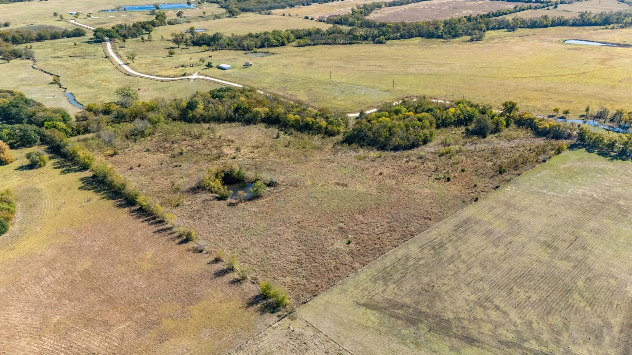 Unimproved Land For Sale in Hunt County , 3.5 Acs County Road 4209, Campbell, Texas 75422, 0, 0, Garage spaces, 0 Sqft, built in 0, Price $69,500, mls#21105846, Real Estate Agent in Campbell, Homes For Sale in Hunt county, Homes For Sale in Campbell, Realtor in Campbell Texas, Real Estate Brokerage Independent Realty Texas, Luminita Cordes Realtor