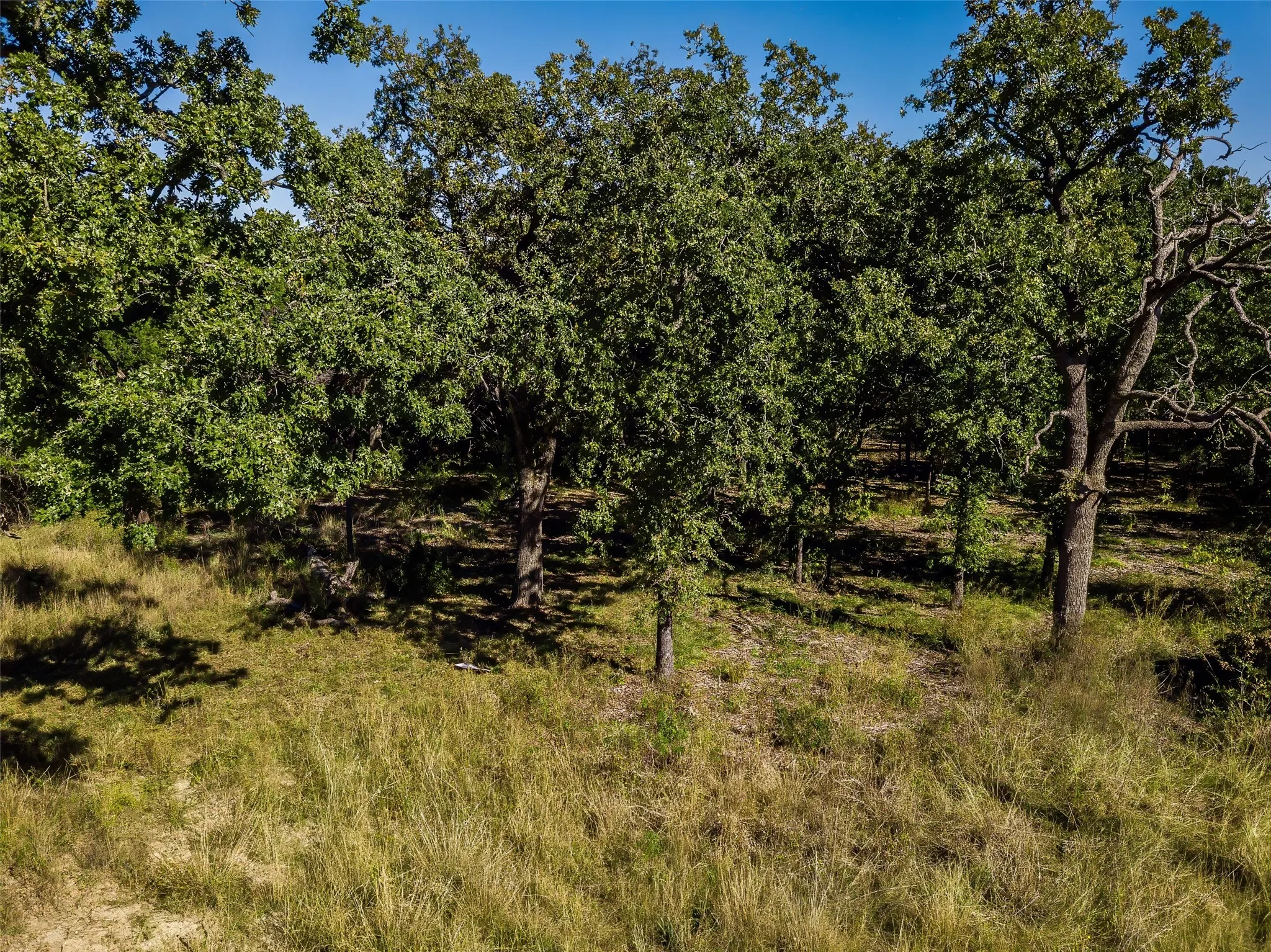 Unimproved Land For Sale in Somervell County , 1053 Creek Crossing Road, Nemo, Texas 76070, 0, 0, Garage spaces, 0 Sqft, built in 0, Price $84,000, mls#21105804, Real Estate Agent in Nemo, Homes For Sale in Somervell county, Homes For Sale in Nemo, Realtor in Nemo Texas, Real Estate Brokerage Independent Realty Texas, Luminita Cordes Realtor