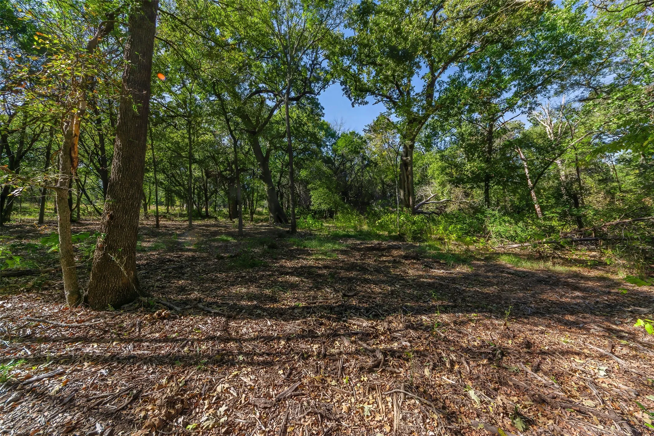 Unimproved Land For Sale in Somervell County , 1053 Creek Crossing Road, Nemo, Texas 76070, 0, 0, Garage spaces, 0 Sqft, built in 0, Price $84,000, mls#21105804, Real Estate Agent in Nemo, Homes For Sale in Somervell county, Homes For Sale in Nemo, Realtor in Nemo Texas, Real Estate Brokerage Independent Realty Texas, Luminita Cordes Realtor