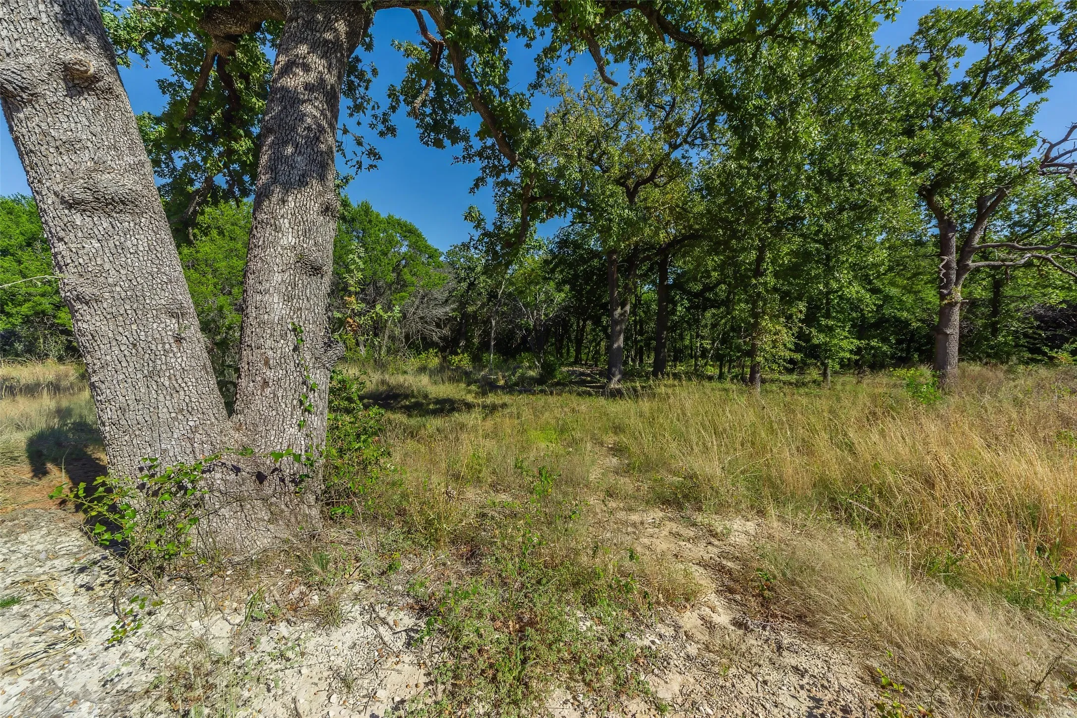 Unimproved Land For Sale in Somervell County , 1053 Creek Crossing Road, Nemo, Texas 76070, 0, 0, Garage spaces, 0 Sqft, built in 0, Price $84,000, mls#21105804, Real Estate Agent in Nemo, Homes For Sale in Somervell county, Homes For Sale in Nemo, Realtor in Nemo Texas, Real Estate Brokerage Independent Realty Texas, Luminita Cordes Realtor