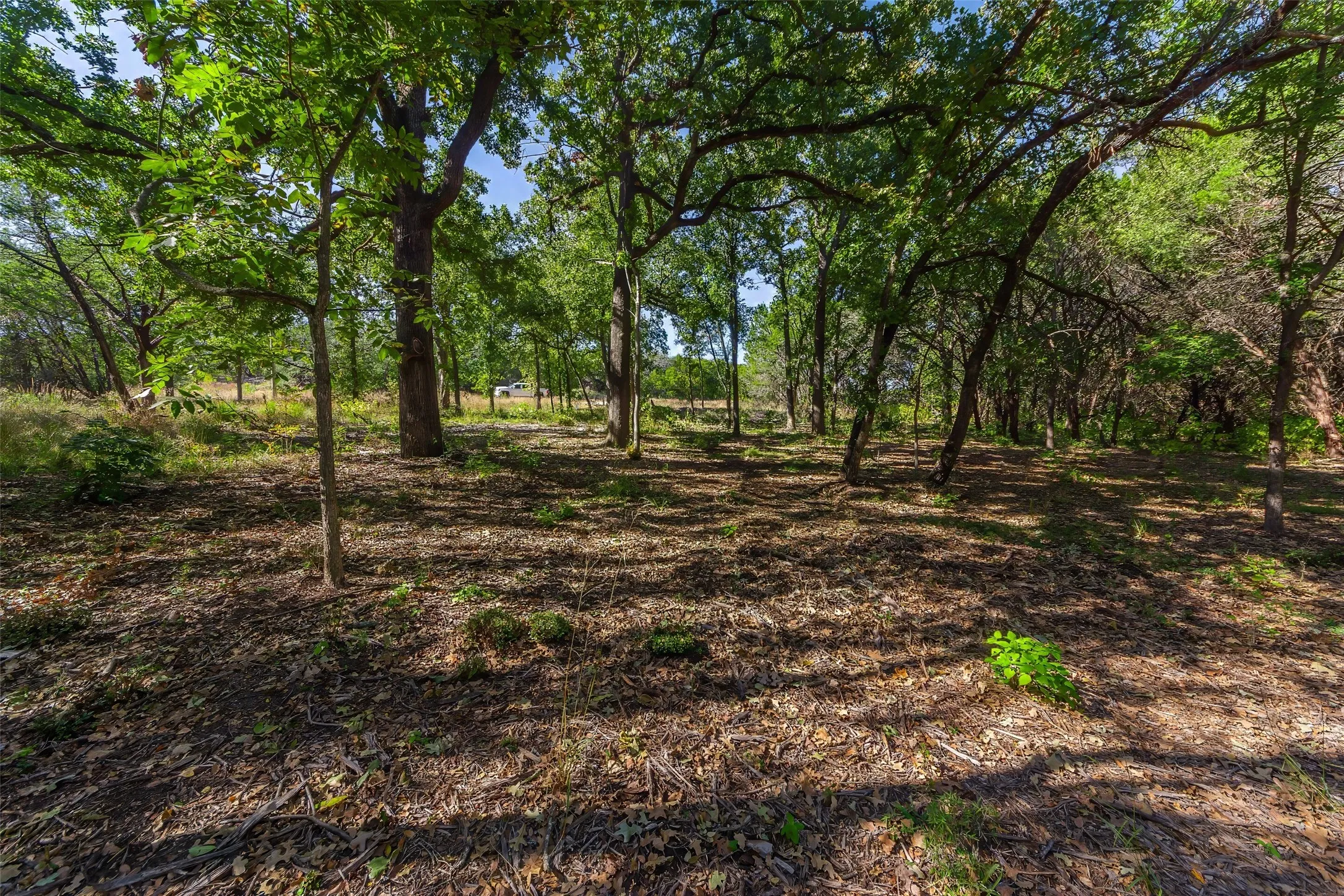 Unimproved Land For Sale in Somervell County , 1053 Creek Crossing Road, Nemo, Texas 76070, 0, 0, Garage spaces, 0 Sqft, built in 0, Price $84,000, mls#21105804, Real Estate Agent in Nemo, Homes For Sale in Somervell county, Homes For Sale in Nemo, Realtor in Nemo Texas, Real Estate Brokerage Independent Realty Texas, Luminita Cordes Realtor