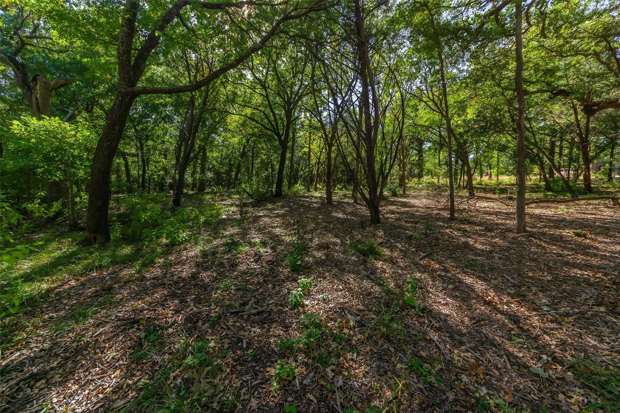 Unimproved Land For Sale in Somervell County , 1053 Creek Crossing Road, Nemo, Texas 76070, 0, 0, Garage spaces, 0 Sqft, built in 0, Price $84,000, mls#21105804, Real Estate Agent in Nemo, Homes For Sale in Somervell county, Homes For Sale in Nemo, Realtor in Nemo Texas, Real Estate Brokerage Independent Realty Texas, Luminita Cordes Realtor