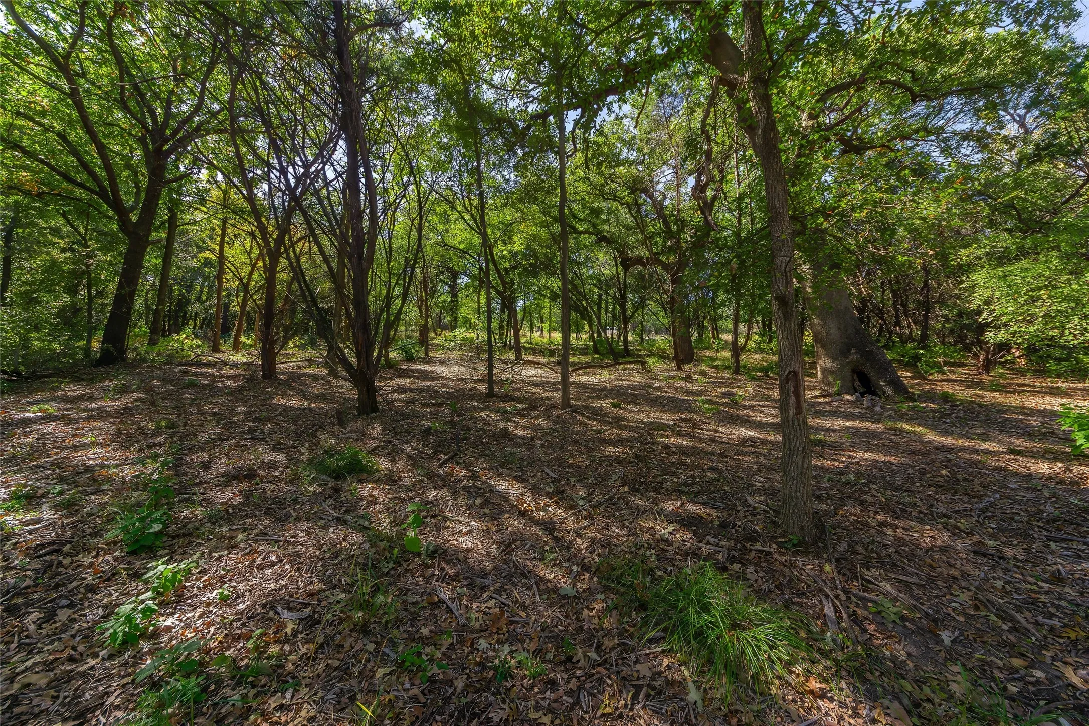 Unimproved Land For Sale in Somervell County , 1053 Creek Crossing Road, Nemo, Texas 76070, 0, 0, Garage spaces, 0 Sqft, built in 0, Price $84,000, mls#21105804, Real Estate Agent in Nemo, Homes For Sale in Somervell county, Homes For Sale in Nemo, Realtor in Nemo Texas, Real Estate Brokerage Independent Realty Texas, Luminita Cordes Realtor