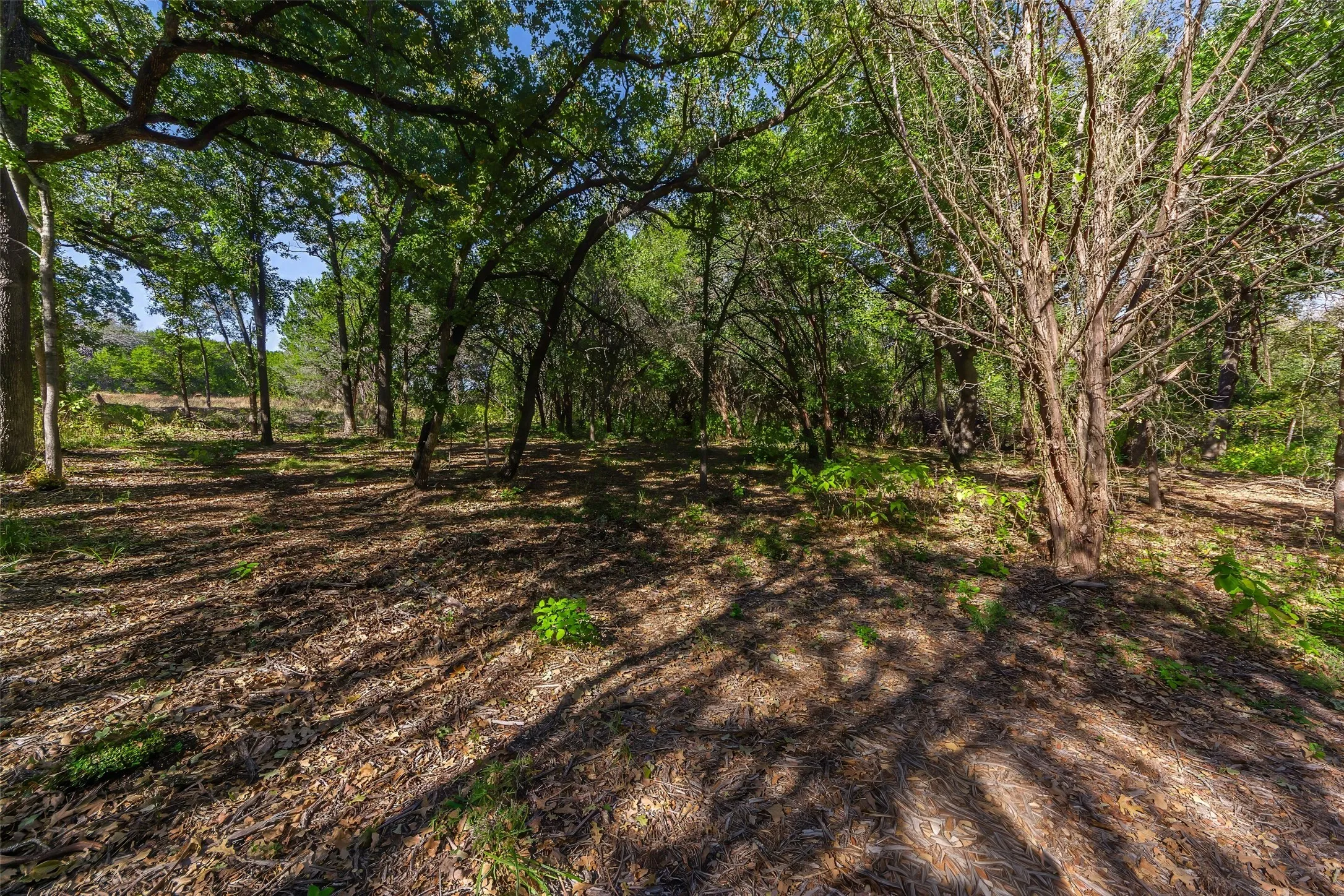 Unimproved Land For Sale in Somervell County , 1053 Creek Crossing Road, Nemo, Texas 76070, 0, 0, Garage spaces, 0 Sqft, built in 0, Price $84,000, mls#21105804, Real Estate Agent in Nemo, Homes For Sale in Somervell county, Homes For Sale in Nemo, Realtor in Nemo Texas, Real Estate Brokerage Independent Realty Texas, Luminita Cordes Realtor