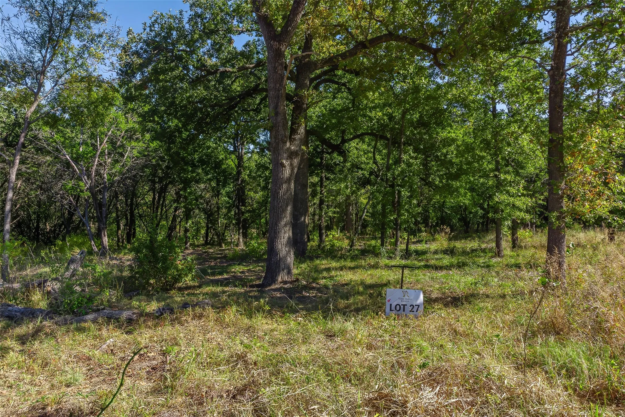 Unimproved Land For Sale in Somervell County , 1053 Creek Crossing Road, Nemo, Texas 76070, 0, 0, Garage spaces, 0 Sqft, built in 0, Price $84,000, mls#21105804, Real Estate Agent in Nemo, Homes For Sale in Somervell county, Homes For Sale in Nemo, Realtor in Nemo Texas, Real Estate Brokerage Independent Realty Texas, Luminita Cordes Realtor