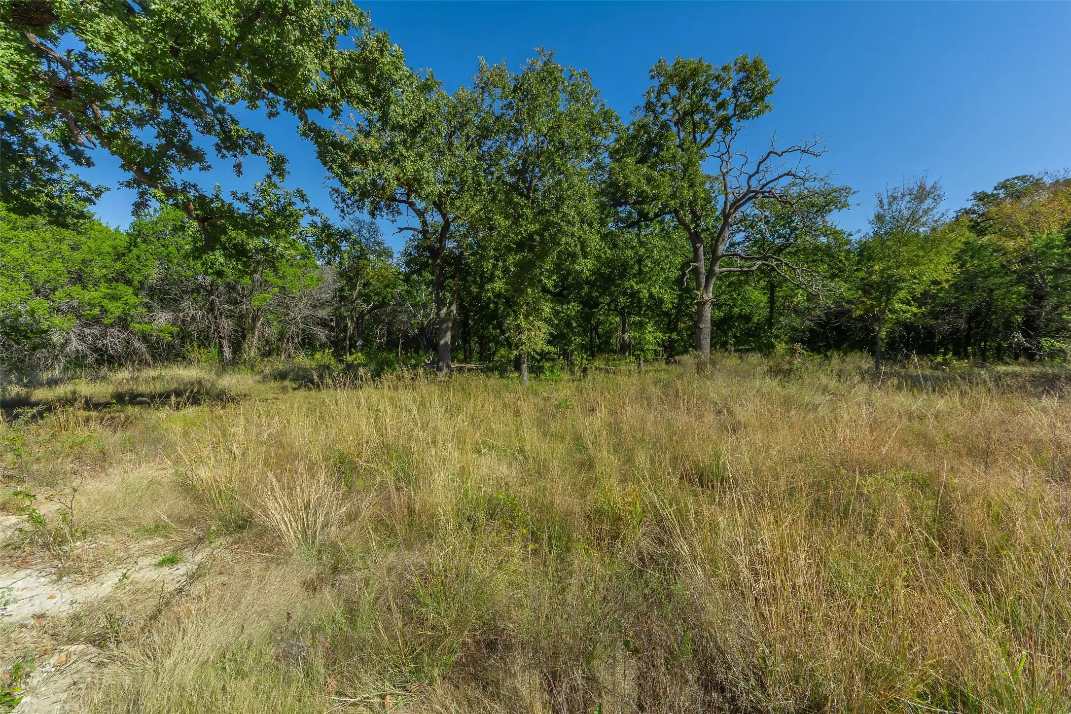 Unimproved Land For Sale in Somervell County , 1053 Creek Crossing Road, Nemo, Texas 76070, 0, 0, Garage spaces, 0 Sqft, built in 0, Price $84,000, mls#21105804, Real Estate Agent in Nemo, Homes For Sale in Somervell county, Homes For Sale in Nemo, Realtor in Nemo Texas, Real Estate Brokerage Independent Realty Texas, Luminita Cordes Realtor