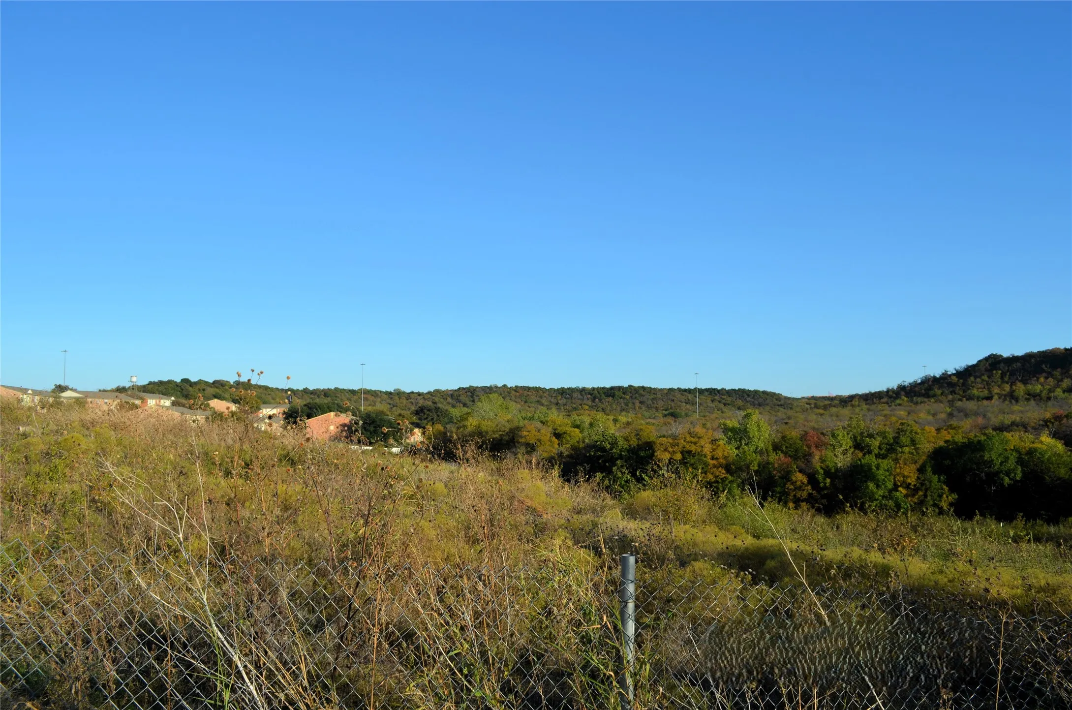 View of local wilderness