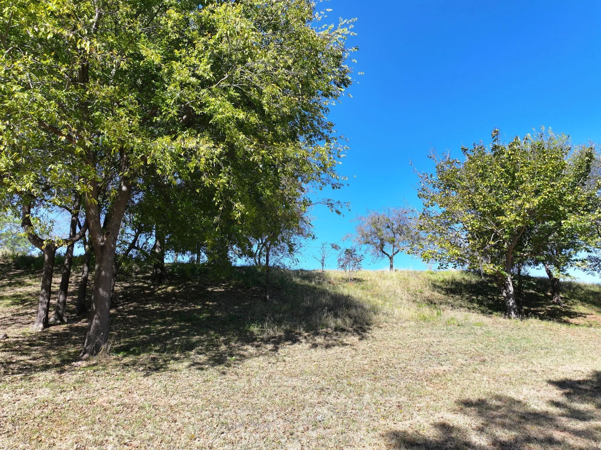 Improved Land For Sale in Somervell County , 14923 Mitchell Bend Court, Granbury, Texas 76048, 0, 0, Garage spaces, 0 Sqft, built in 2016, mls#21105297, Real Estate Agent in Granbury, Homes For Sale in Somervell county, Homes For Sale in Granbury, Realtor in Granbury Texas, Real Estate Brokerage Independent Realty Texas, Luminita Cordes Realtor