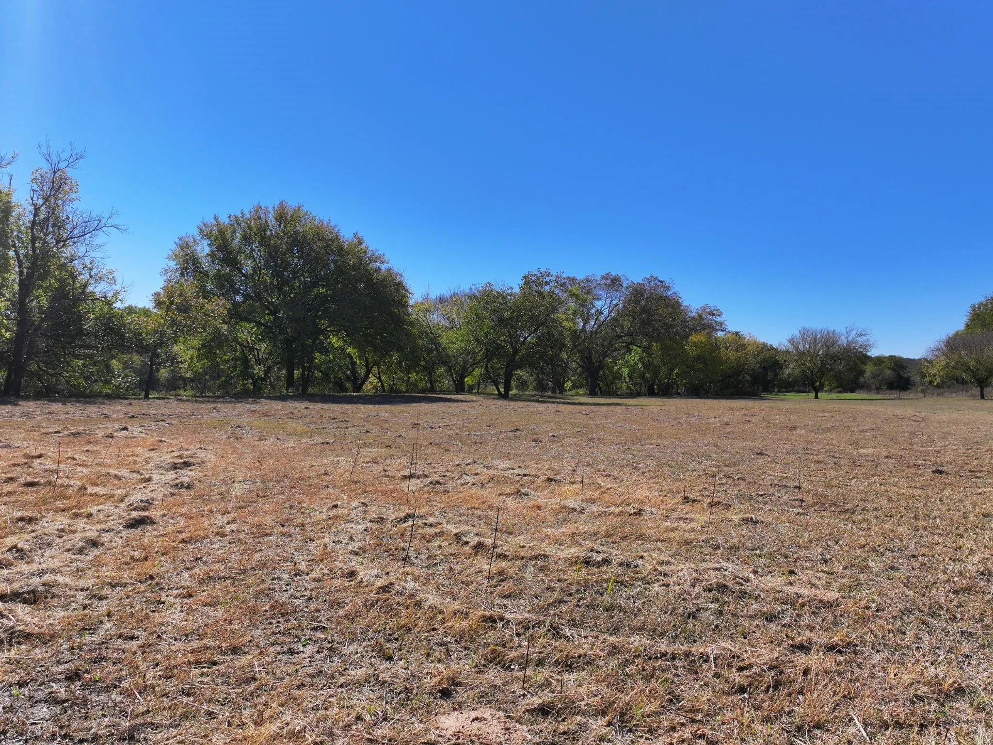 Improved Land For Sale in Somervell County , 14923 Mitchell Bend Court, Granbury, Texas 76048, 0, 0, Garage spaces, 0 Sqft, built in 2016, mls#21105297, Real Estate Agent in Granbury, Homes For Sale in Somervell county, Homes For Sale in Granbury, Realtor in Granbury Texas, Real Estate Brokerage Independent Realty Texas, Luminita Cordes Realtor