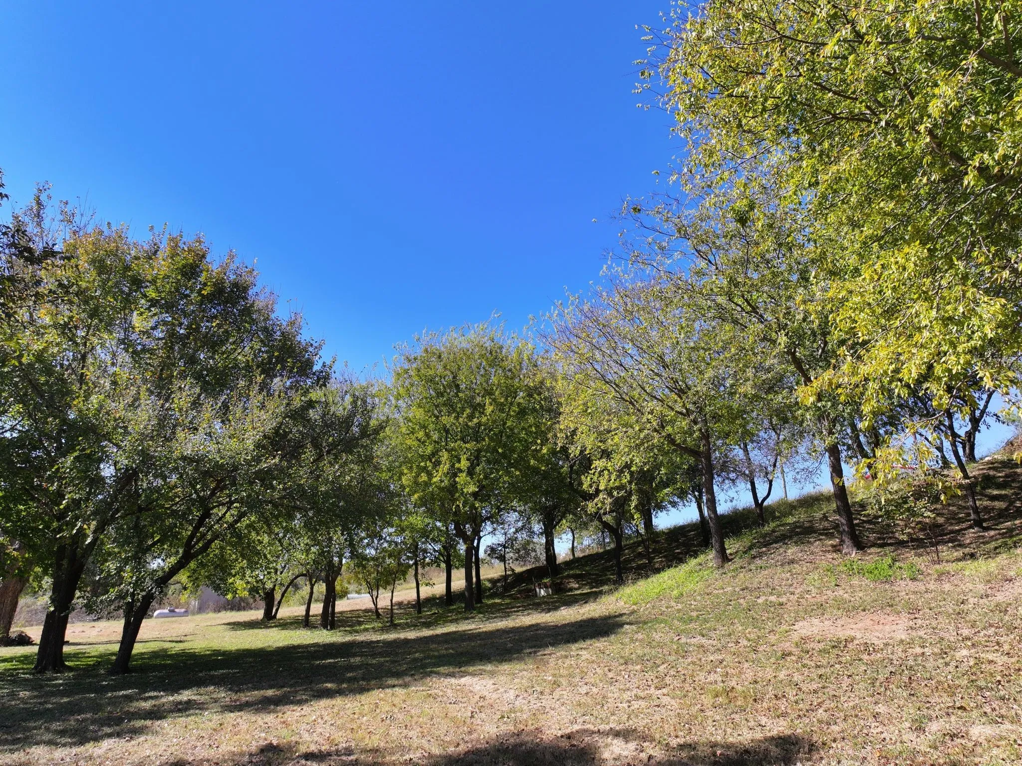 Improved Land For Sale in Somervell County , 14923 Mitchell Bend Court, Granbury, Texas 76048, 0, 0, Garage spaces, 0 Sqft, built in 2016, mls#21105297, Real Estate Agent in Granbury, Homes For Sale in Somervell county, Homes For Sale in Granbury, Realtor in Granbury Texas, Real Estate Brokerage Independent Realty Texas, Luminita Cordes Realtor
