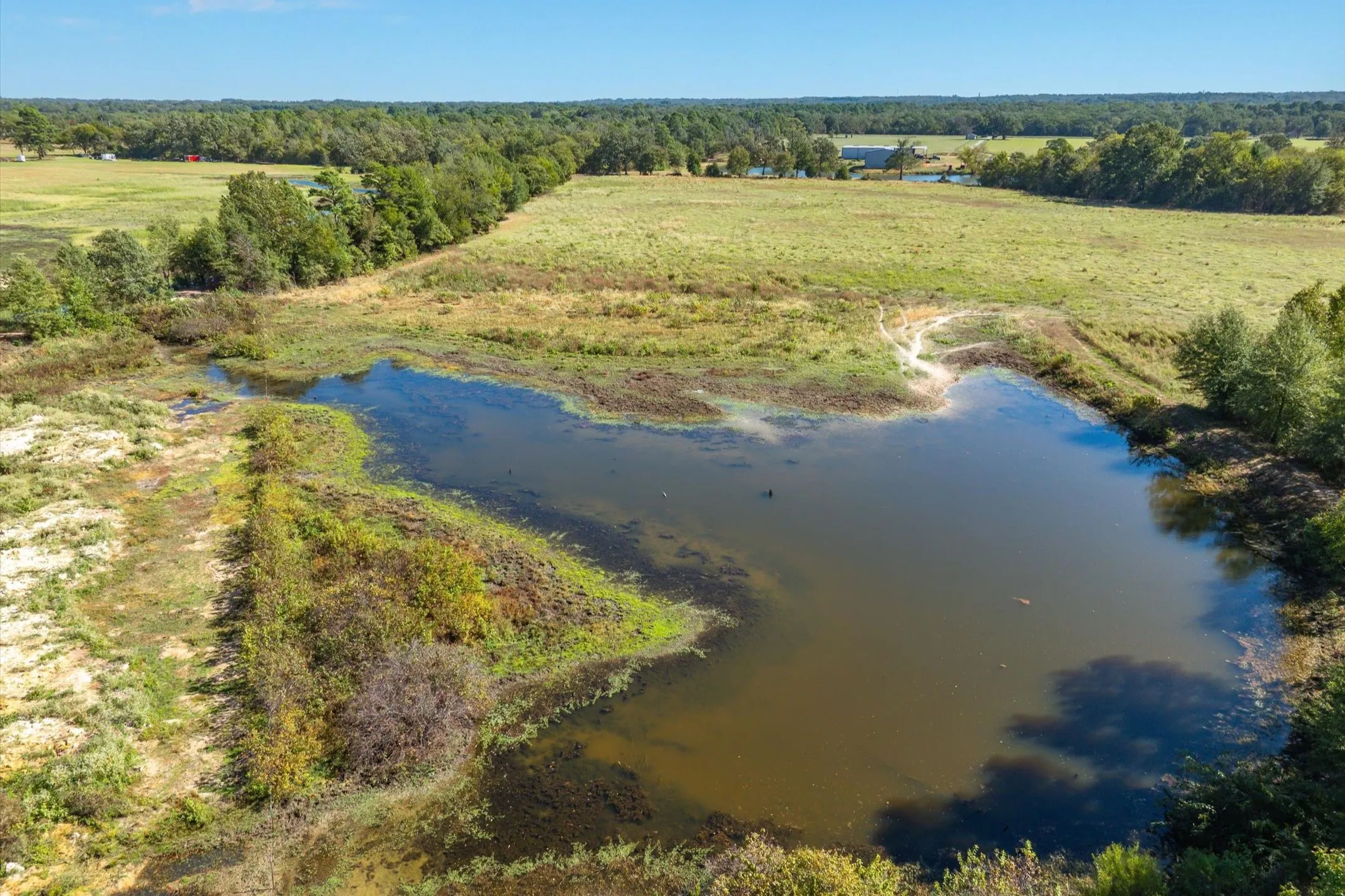 Retail For Sale in Wood County , 806 County Road 2918, Mineola, Texas 75410, 0, 0, Garage spaces, 0 Sqft, built in 2025, mls#21095593, Real Estate Agent in Mineola, Homes For Sale in Wood county, Homes For Sale in Mineola, Realtor in Mineola Texas, Real Estate Brokerage Independent Realty Texas, Luminita Cordes Realtor