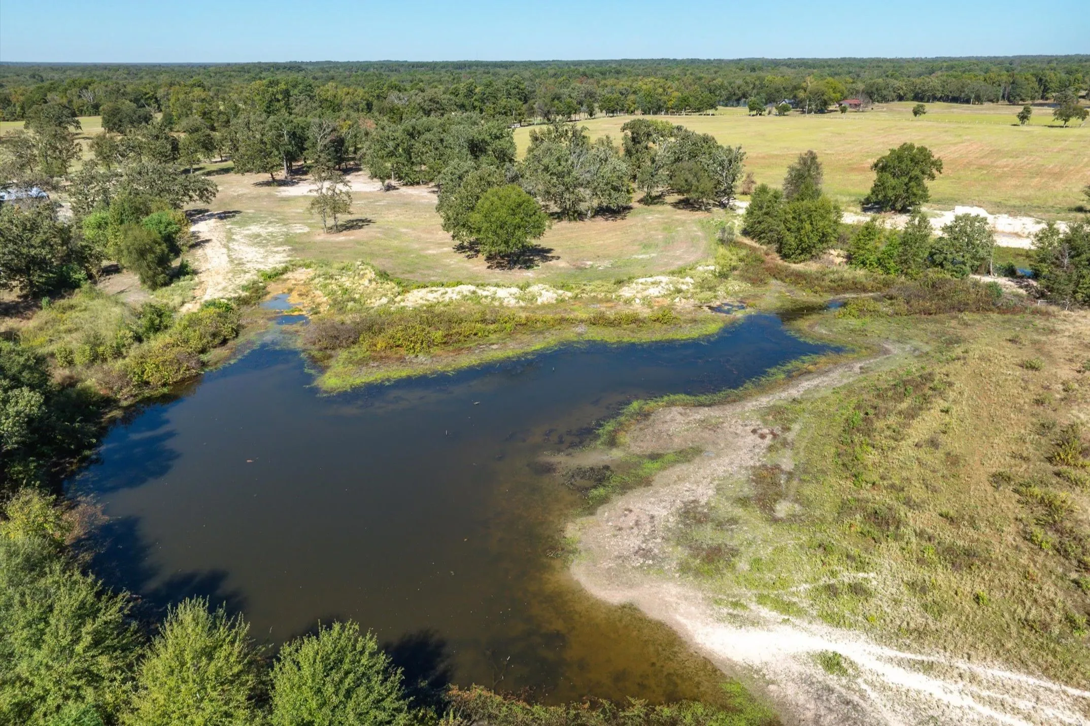 Retail For Sale in Wood County , 806 County Road 2918, Mineola, Texas 75410, 0, 0, Garage spaces, 0 Sqft, built in 2025, mls#21095593, Real Estate Agent in Mineola, Homes For Sale in Wood county, Homes For Sale in Mineola, Realtor in Mineola Texas, Real Estate Brokerage Independent Realty Texas, Luminita Cordes Realtor