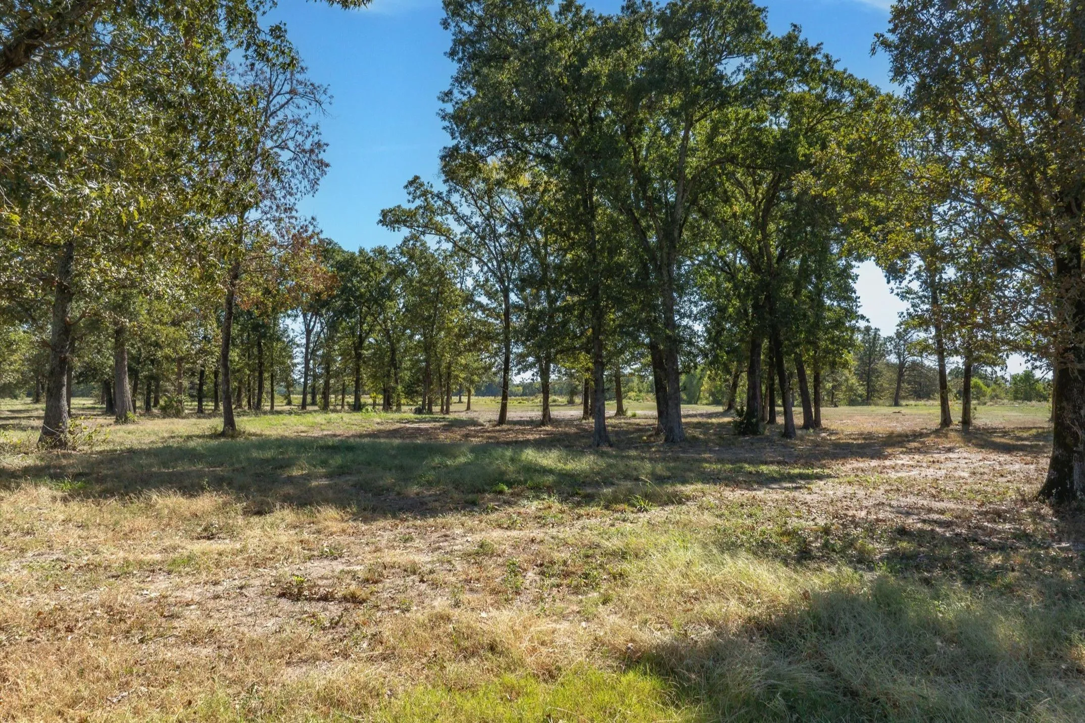 Retail For Sale in Wood County , 806 County Road 2918, Mineola, Texas 75410, 0, 0, Garage spaces, 0 Sqft, built in 2025, mls#21095593, Real Estate Agent in Mineola, Homes For Sale in Wood county, Homes For Sale in Mineola, Realtor in Mineola Texas, Real Estate Brokerage Independent Realty Texas, Luminita Cordes Realtor