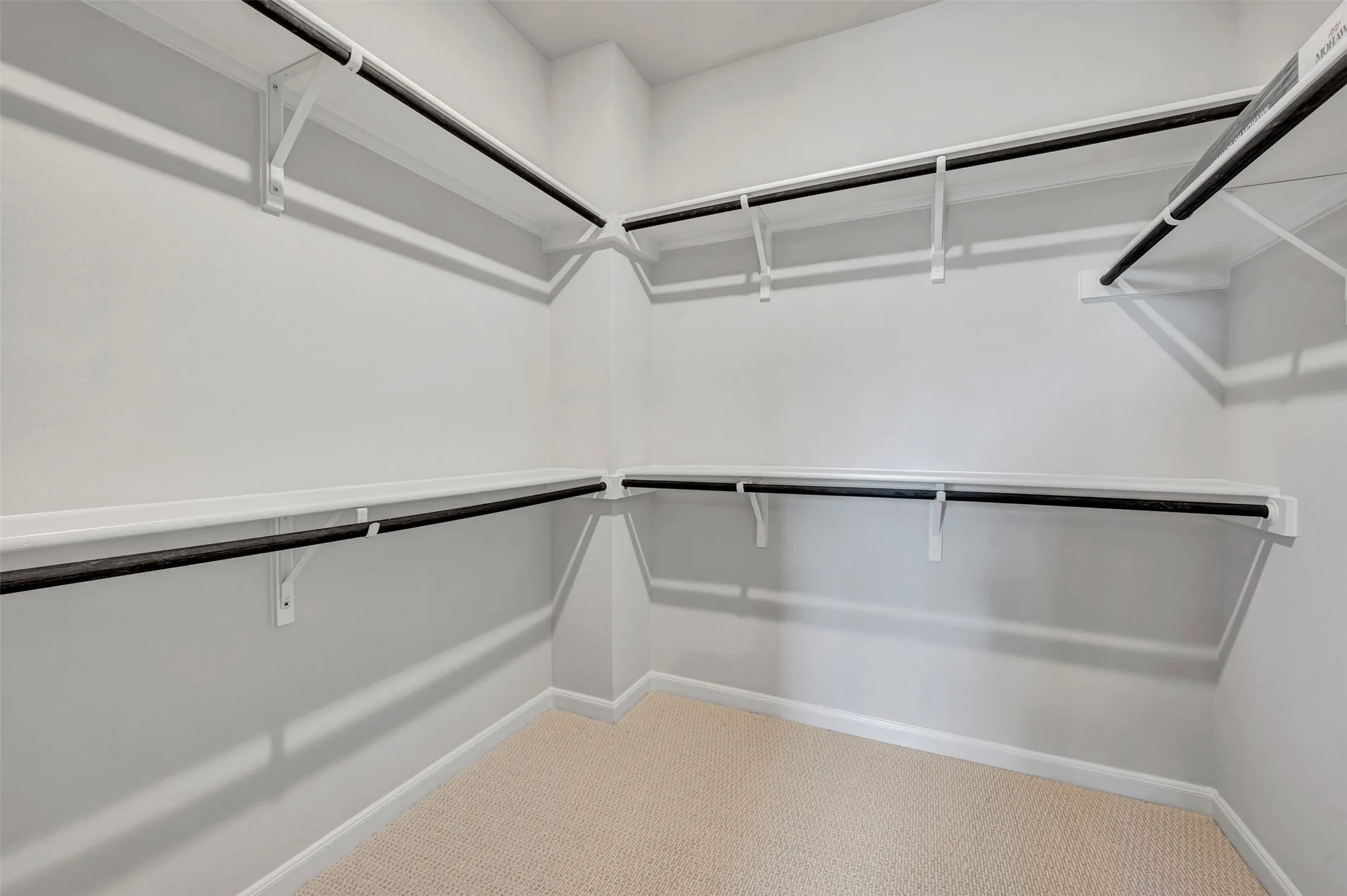 Walk in closet with light carpet