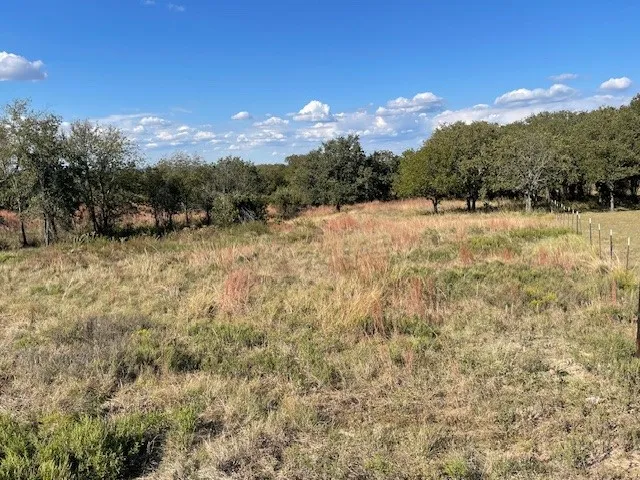 Unimproved Land For Sale in Jack County , 1150 DPS Tower Road #Lot 22, Perrin, Texas 76486, 0, 0, Garage spaces, 0 Sqft, built in 0, Price $100,000, mls#21105003, Real Estate Agent in Perrin, Homes For Sale in Jack county, Homes For Sale in Perrin, Realtor in Perrin Texas, Real Estate Brokerage Independent Realty Texas, Luminita Cordes Realtor