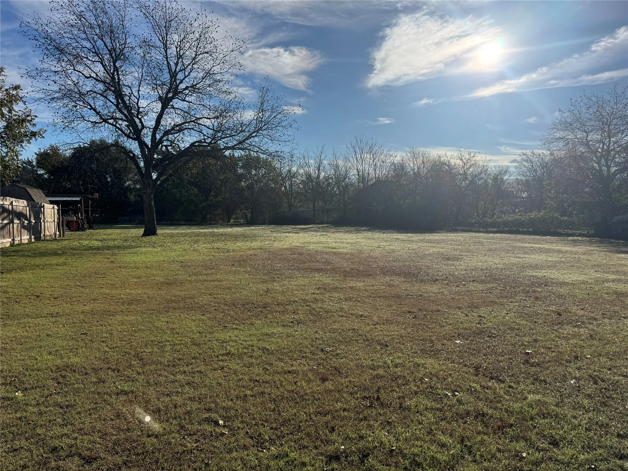 View of grassy yard