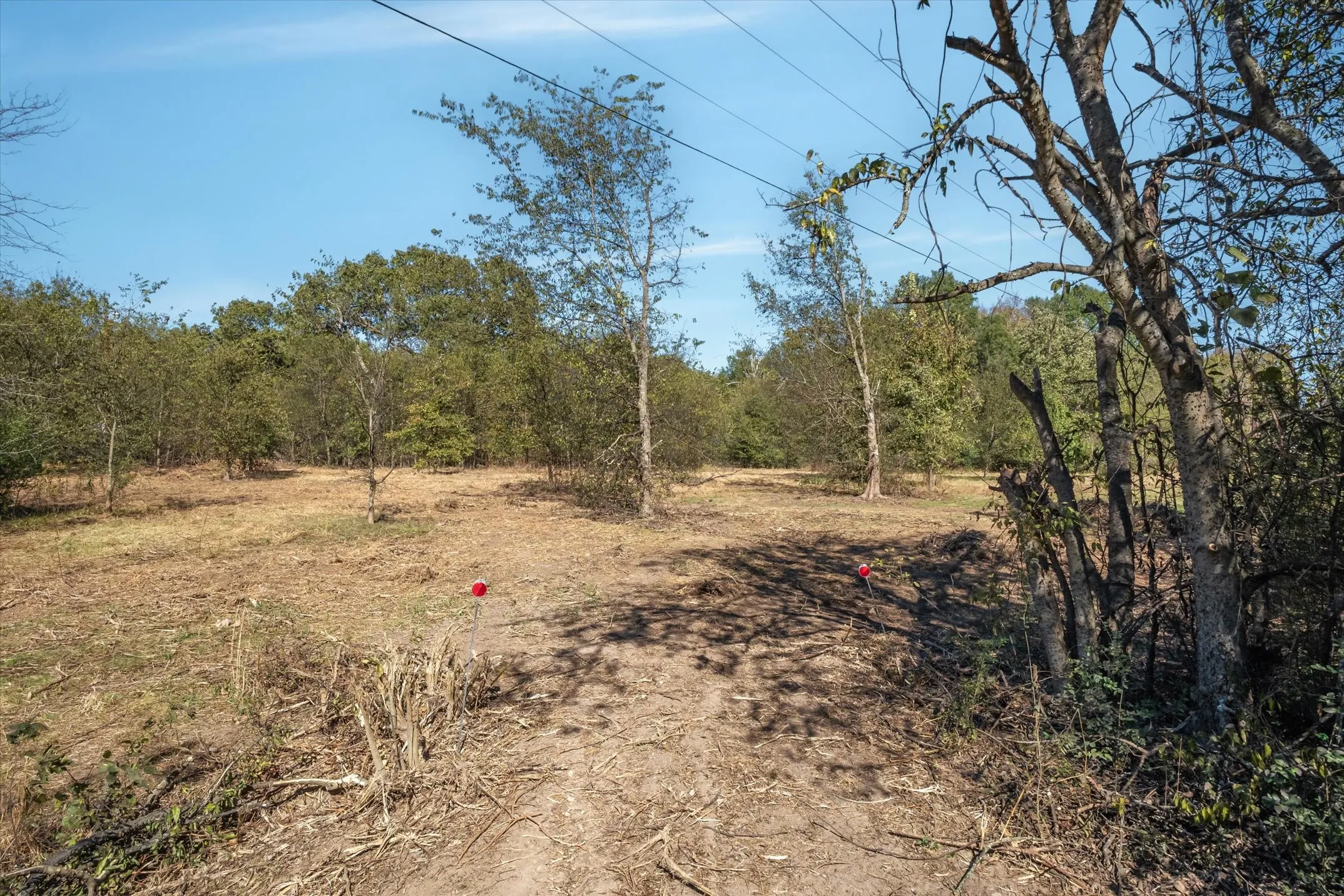 Unimproved Land For Sale in Van Zandt County , 2805 VZ County Road 3507, Wills Point, Texas 75169, 0, 0, Garage spaces, 0 Sqft, built in 0, Price $175,000, mls#21106140, Real Estate Agent in Wills Point, Homes For Sale in Van Zandt county, Homes For Sale in Wills Point, Realtor in Wills Point Texas, Real Estate Brokerage Independent Realty Texas, Luminita Cordes Realtor