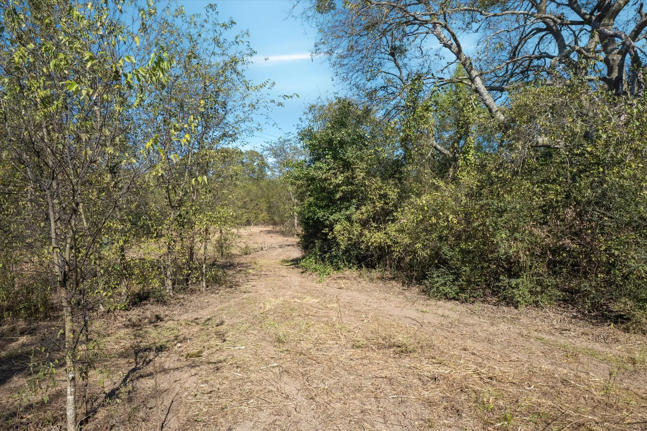 Unimproved Land For Sale in Van Zandt County , 2805 VZ County Road 3507, Wills Point, Texas 75169, 0, 0, Garage spaces, 0 Sqft, built in 0, Price $175,000, mls#21106140, Real Estate Agent in Wills Point, Homes For Sale in Van Zandt county, Homes For Sale in Wills Point, Realtor in Wills Point Texas, Real Estate Brokerage Independent Realty Texas, Luminita Cordes Realtor