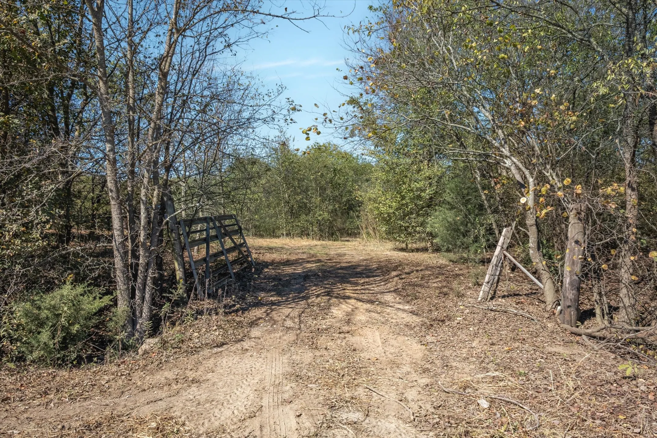 Unimproved Land For Sale in Van Zandt County , 2805 VZ County Road 3507, Wills Point, Texas 75169, 0, 0, Garage spaces, 0 Sqft, built in 0, Price $175,000, mls#21106140, Real Estate Agent in Wills Point, Homes For Sale in Van Zandt county, Homes For Sale in Wills Point, Realtor in Wills Point Texas, Real Estate Brokerage Independent Realty Texas, Luminita Cordes Realtor