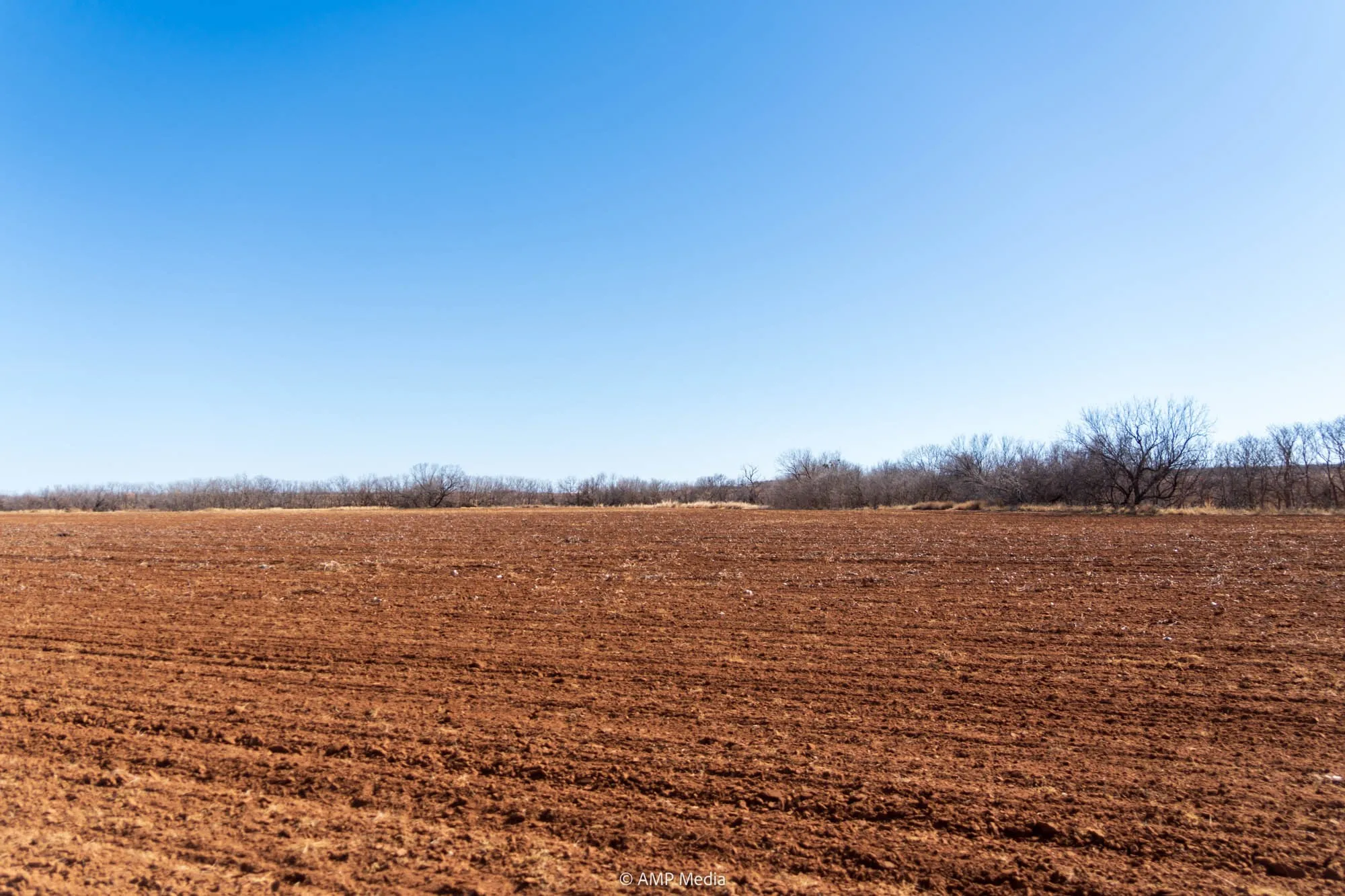 View of yard with a view of rural / pastoral area