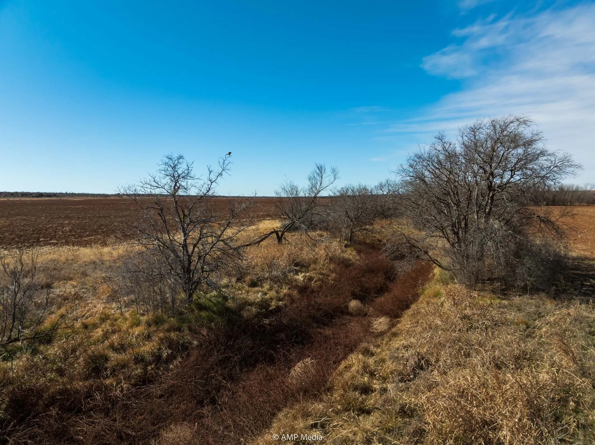 View of local wilderness featuring rural landscape