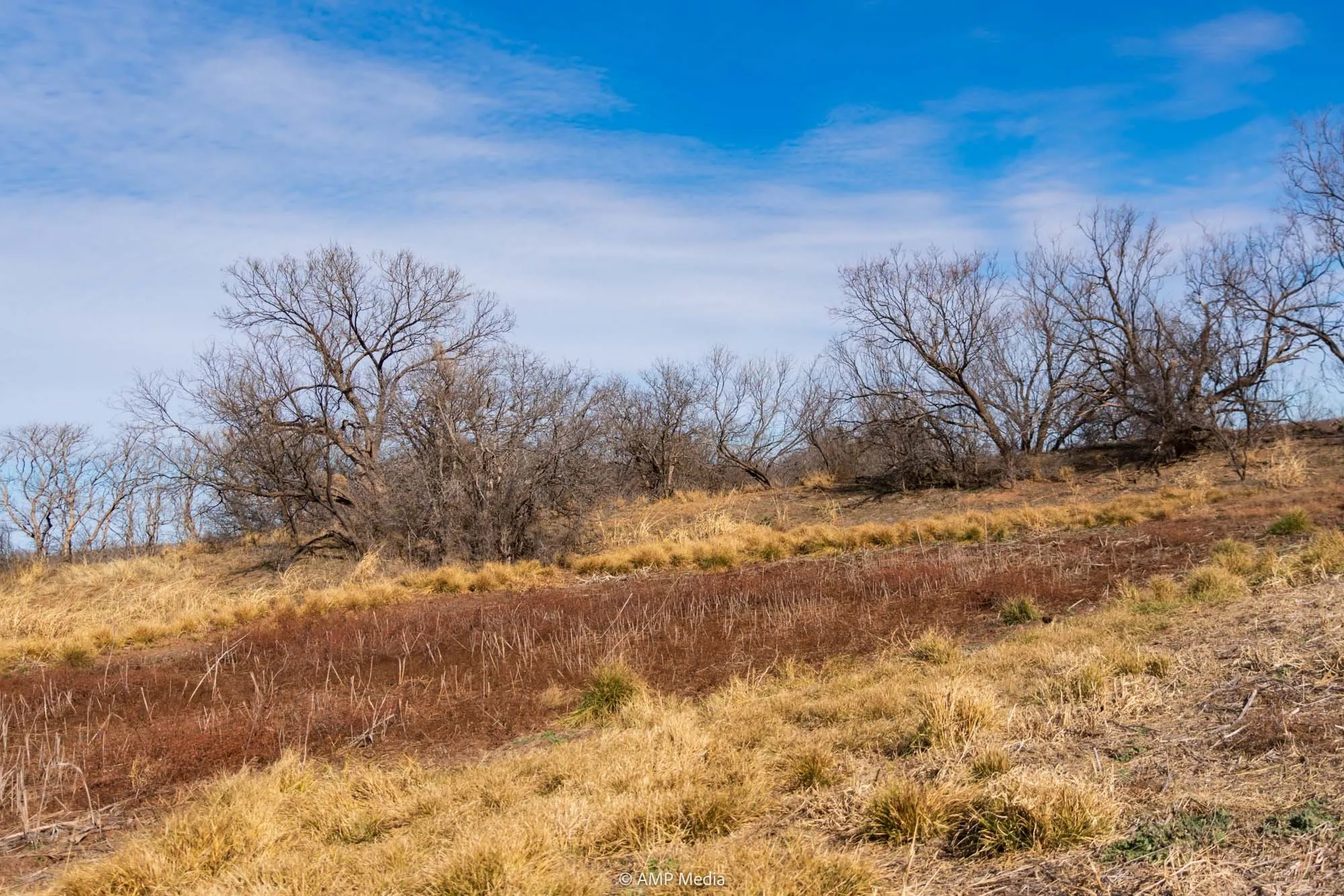 View of undeveloped land featuring rural landscape