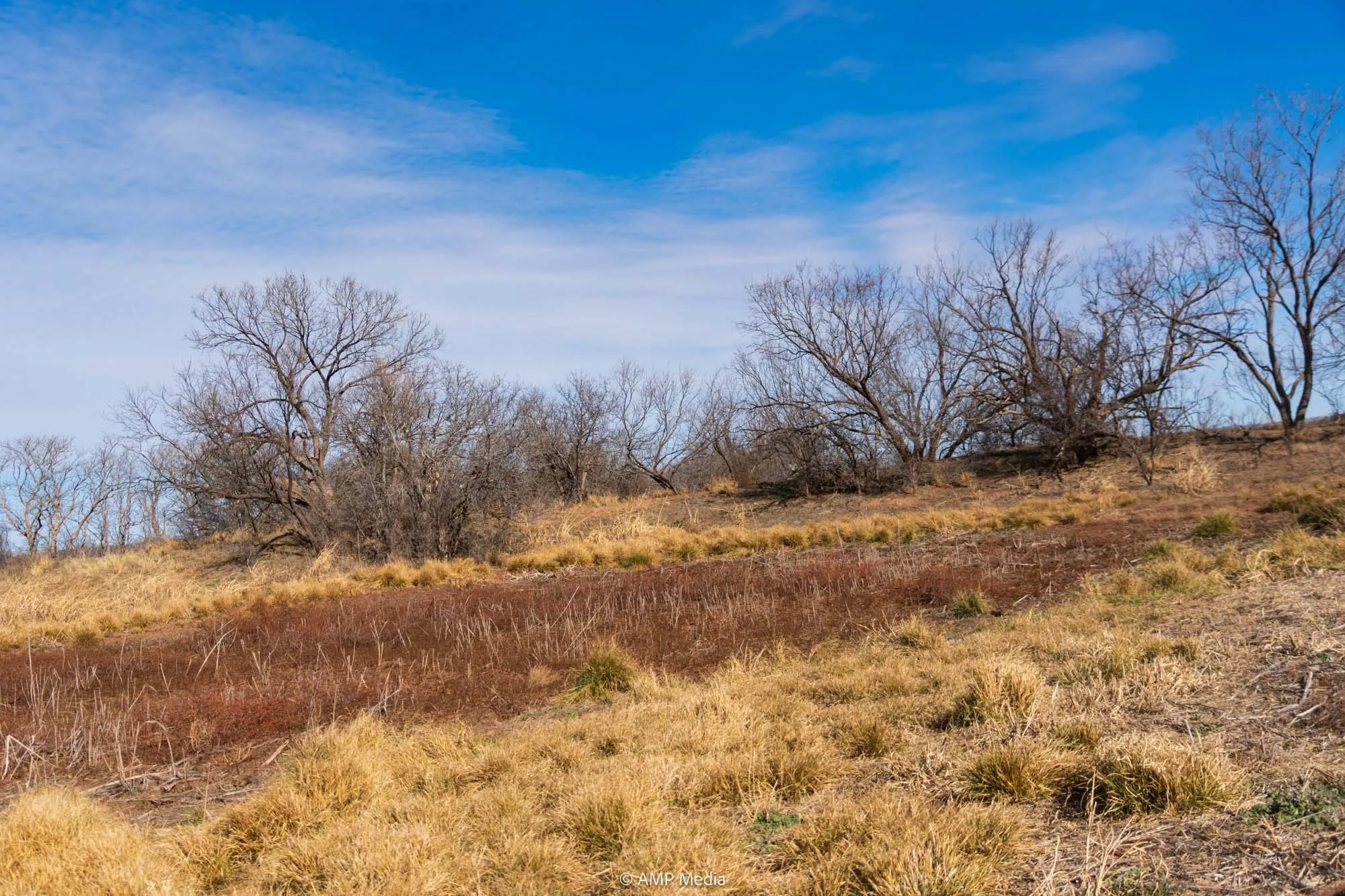 View of undeveloped land with rural landscape