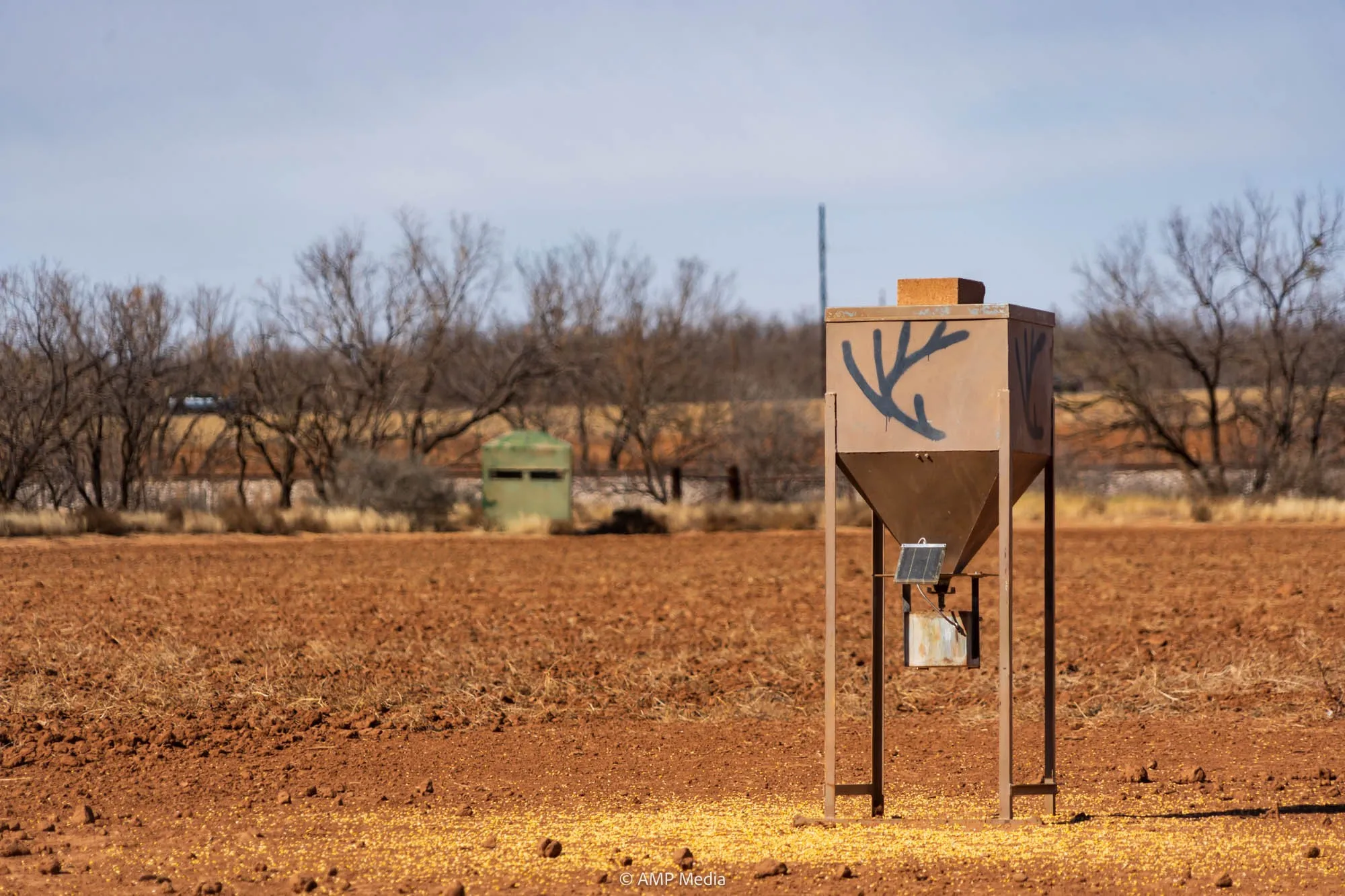 Surrounding community