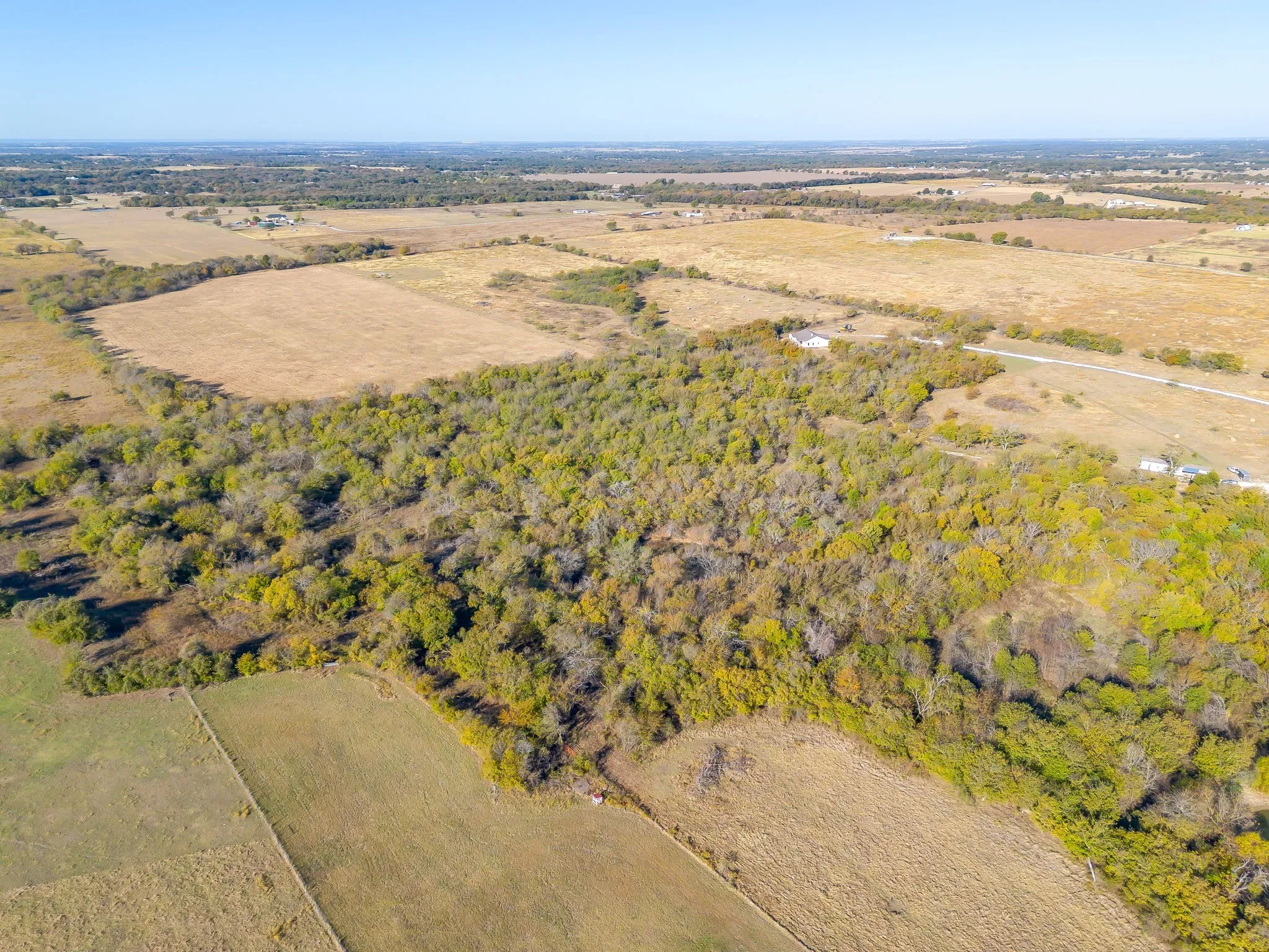 Unimproved Land For Sale in Johnson County , 6821 County Road 302, Grandview, Texas 76050, 0, 0, Garage spaces, 0 Sqft, built in 0, Price $682,500, mls#21106886, Real Estate Agent in Grandview, Homes For Sale in Johnson county, Homes For Sale in Grandview, Realtor in Grandview Texas, Real Estate Brokerage Independent Realty Texas, Luminita Cordes Realtor
