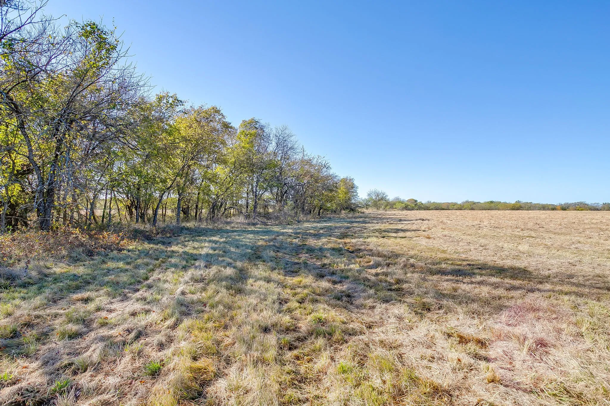 Unimproved Land For Sale in Johnson County , 6821 County Road 302, Grandview, Texas 76050, 0, 0, Garage spaces, 0 Sqft, built in 0, Price $682,500, mls#21106886, Real Estate Agent in Grandview, Homes For Sale in Johnson county, Homes For Sale in Grandview, Realtor in Grandview Texas, Real Estate Brokerage Independent Realty Texas, Luminita Cordes Realtor