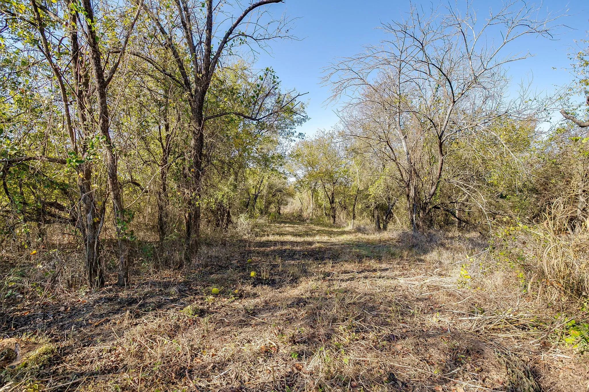 Unimproved Land For Sale in Johnson County , 6821 County Road 302, Grandview, Texas 76050, 0, 0, Garage spaces, 0 Sqft, built in 0, Price $682,500, mls#21106886, Real Estate Agent in Grandview, Homes For Sale in Johnson county, Homes For Sale in Grandview, Realtor in Grandview Texas, Real Estate Brokerage Independent Realty Texas, Luminita Cordes Realtor
