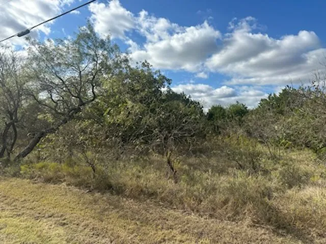 Unimproved Land For Sale in Hill County , 1607 White Bluff Drive, Whitney, Texas 76692, 0, 0, Garage spaces, 0 Sqft, built in 0, Price $24,000, mls#21103892, Real Estate Agent in Whitney, Homes For Sale in Hill county, Homes For Sale in Whitney, Realtor in Whitney Texas, Real Estate Brokerage Independent Realty Texas, Luminita Cordes Realtor