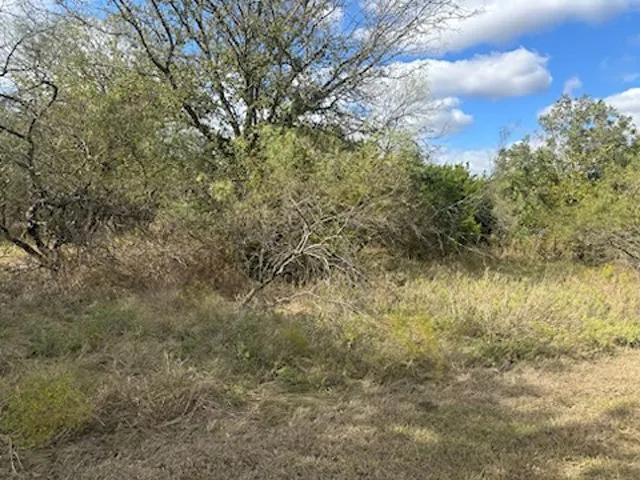 Unimproved Land For Sale in Hill County , 1607 White Bluff Drive, Whitney, Texas 76692, 0, 0, Garage spaces, 0 Sqft, built in 0, Price $24,000, mls#21103892, Real Estate Agent in Whitney, Homes For Sale in Hill county, Homes For Sale in Whitney, Realtor in Whitney Texas, Real Estate Brokerage Independent Realty Texas, Luminita Cordes Realtor