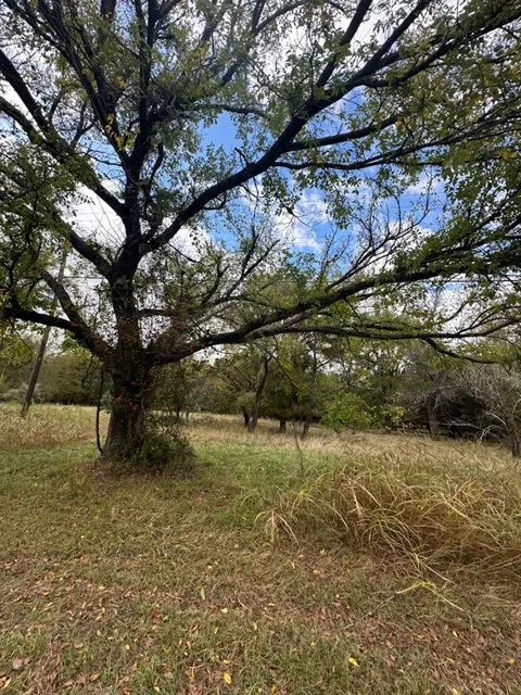 Unimproved Land For Sale in Hill County , 1545 White Bluff Drive, Whitney, Texas 76692, 0, 0, Garage spaces, 0 Sqft, built in 0, Price $14,000, mls#21103888, Real Estate Agent in Whitney, Homes For Sale in Hill county, Homes For Sale in Whitney, Realtor in Whitney Texas, Real Estate Brokerage Independent Realty Texas, Luminita Cordes Realtor