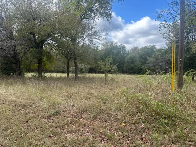 Unimproved Land For Sale in Hill County , 1545 White Bluff Drive, Whitney, Texas 76692, 0, 0, Garage spaces, 0 Sqft, built in 0, Price $14,000, mls#21103888, Real Estate Agent in Whitney, Homes For Sale in Hill county, Homes For Sale in Whitney, Realtor in Whitney Texas, Real Estate Brokerage Independent Realty Texas, Luminita Cordes Realtor