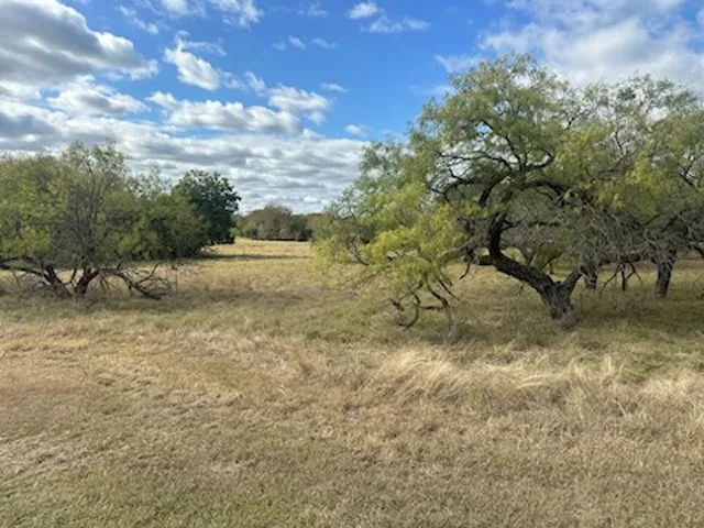 Unimproved Land For Sale in Hill County , 19099 White Bluff Drive, Whitney, Texas 76692, 0, 0, Garage spaces, 0 Sqft, built in 0, Price $22,000, mls#21103883, Real Estate Agent in Whitney, Homes For Sale in Hill county, Homes For Sale in Whitney, Realtor in Whitney Texas, Real Estate Brokerage Independent Realty Texas, Luminita Cordes Realtor