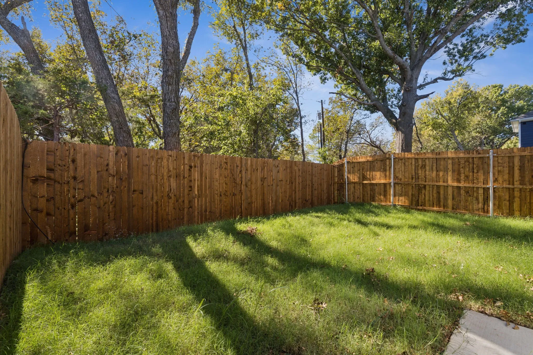 View of fenced backyard